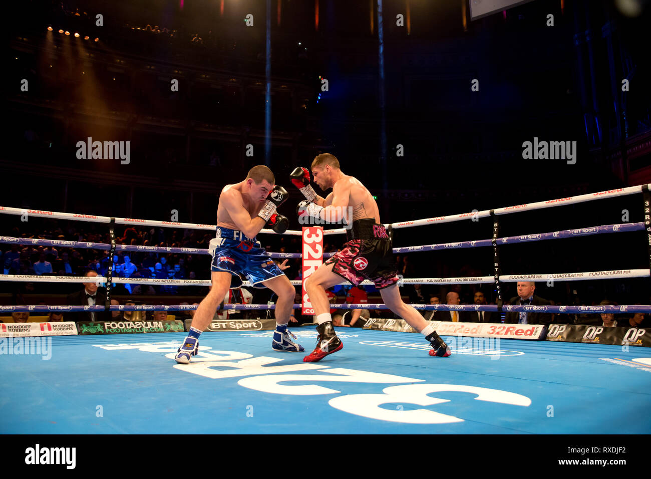 London uk 8th March 2019 Boxing returns to the royal albert hall kensington gore london Chris Jenkins defeats Johnny garton to become the new British welterweight Champion  Johnny Garton v Chris jenkins Credit: Dean Fardell/Alamy Live News Stock Photo