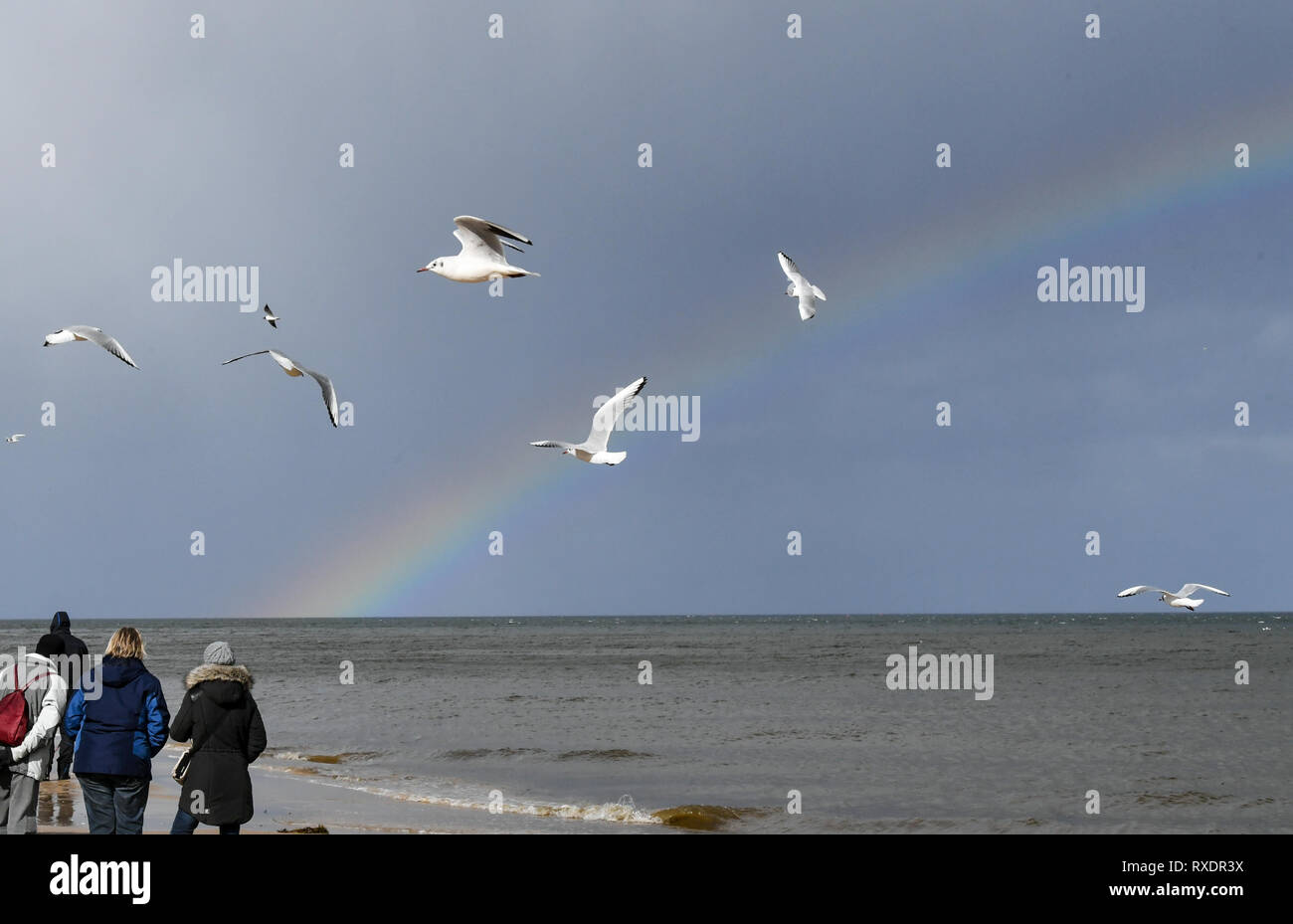 Usedom Heringsdorf Winter High Resolution Stock Photography And Images Alamy