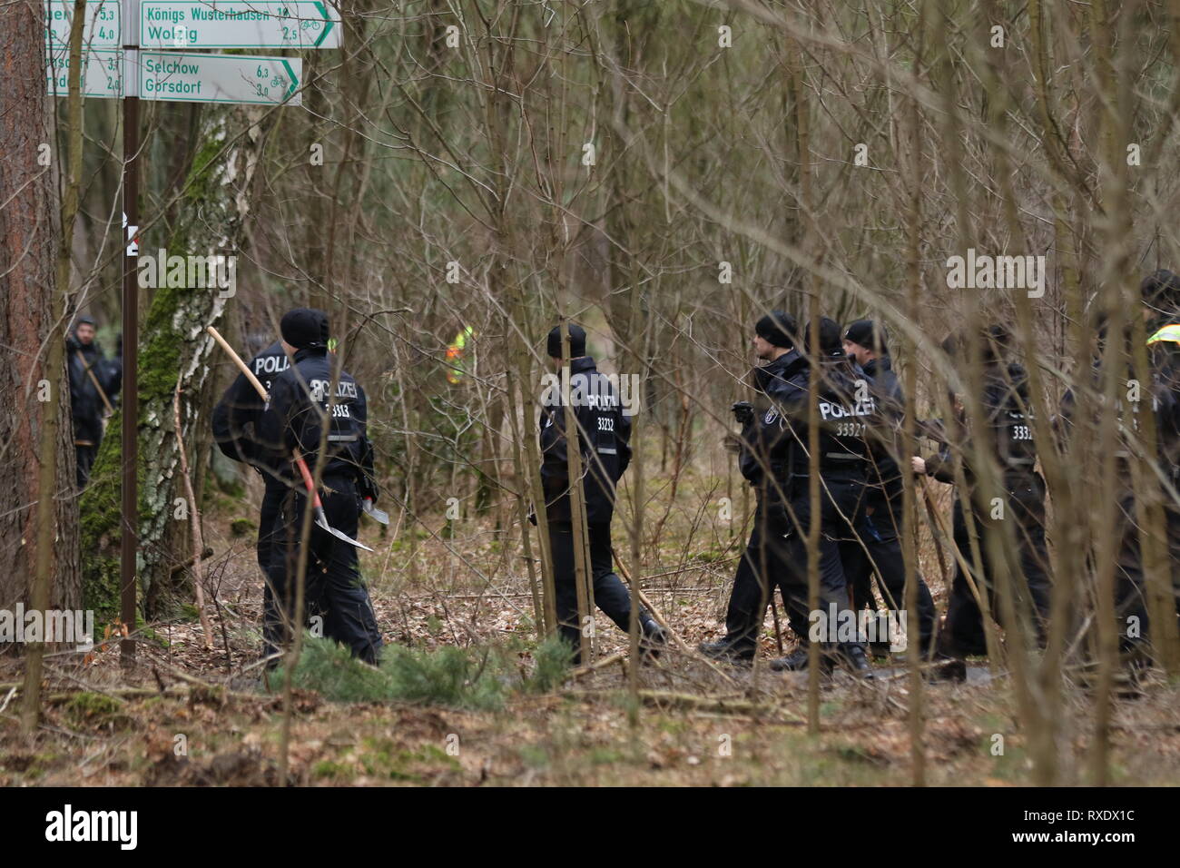 Kummersdorf, Germany. 09th Mar, 2019. Policemen in the forest in search for missing Rebecca from Berlin. Also on the third day in a row searches a hundred of police with helicopters and detection dogs in a large forest southeast of Berlin after the 15-year-old Rebecca R. Credit: SAO Struck/Alamy Live News Stock Photo