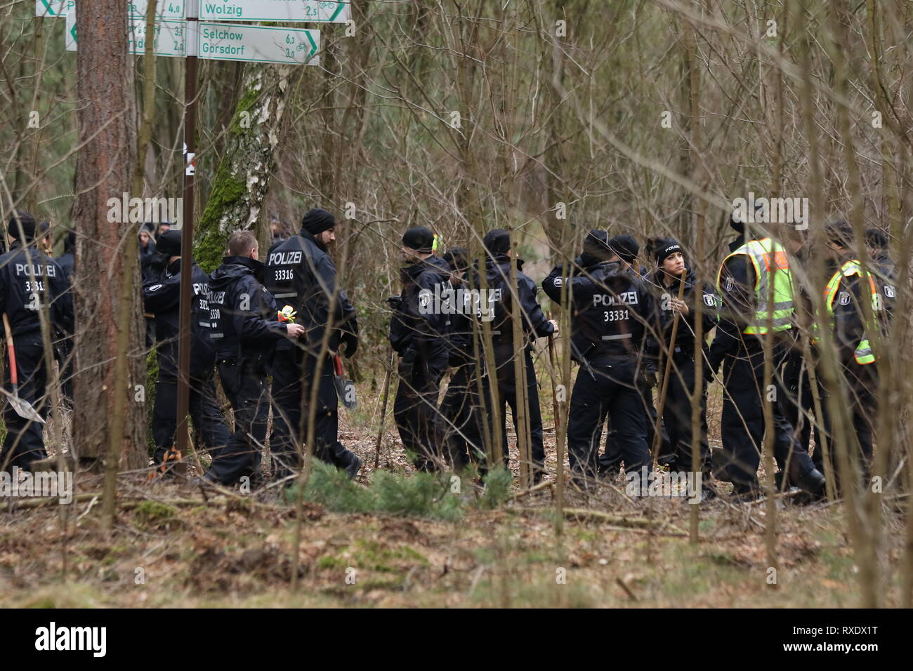 Kummersdorf, Germany. 09th Mar, 2019. Policemen in the forest in search for missing Rebecca from Berlin. Also on the third day in a row searches a hundred of police with helicopters and detection dogs in a large forest southeast of Berlin after the 15-year-old Rebecca R. Credit: SAO Struck/Alamy Live News Stock Photo