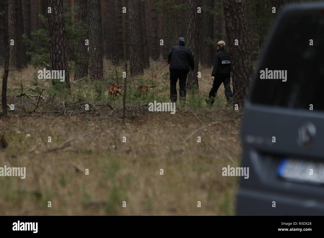 Kummersdorf, Germany. 09th Mar, 2019. Dog squad search for missing Rebecca from Berlin. Also on the third day in a row searches a hundred of police with helicopters and detection dogs in a large forest southeast of Berlin after the 15-year-old Rebecca R. Credit: SAO Struck/Alamy Live News Stock Photo