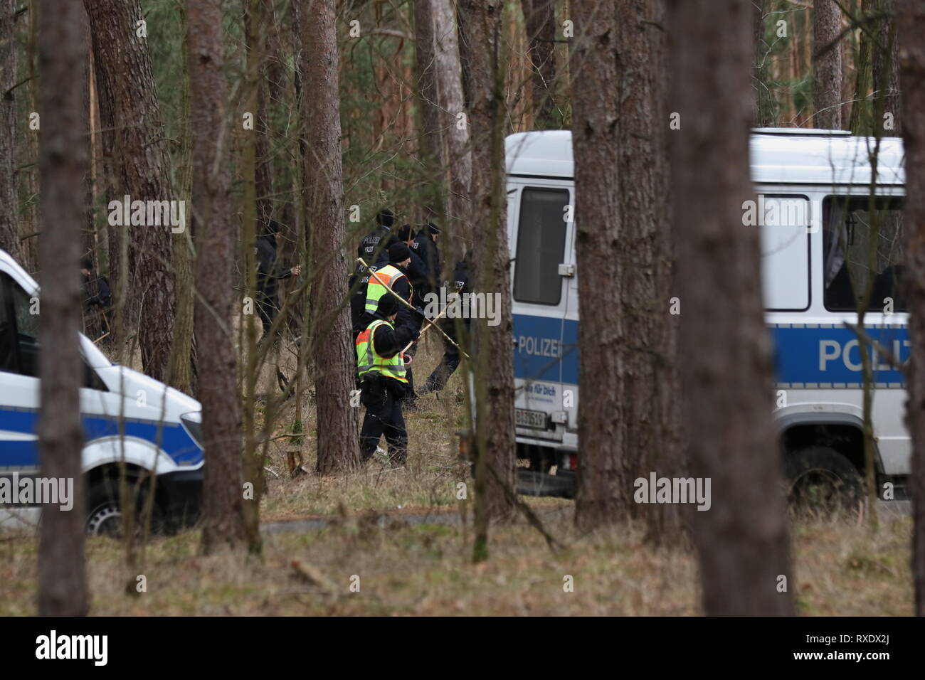 Kummersdorf, Germany. 09th Mar, 2019. Policemen in the forest in search for missing Rebecca from Berlin. Also on the third day in a row searches a hundred of police with helicopters and detection dogs in a large forest southeast of Berlin after the 15-year-old Rebecca R. Credit: SAO Struck/Alamy Live News Stock Photo