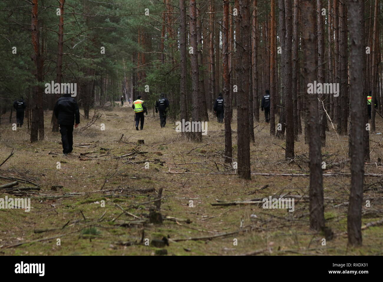 Kummersdorf, Germany. 09th Mar, 2019. Policemen in the forest in search for missing Rebecca from Berlin. Also on the third day in a row searches a hundred of police with helicopters and detection dogs in a large forest southeast of Berlin after the 15-year-old Rebecca R. Credit: SAO Struck/Alamy Live News Stock Photo