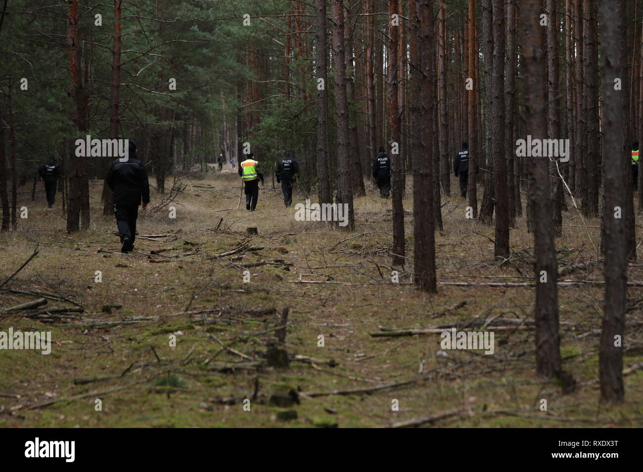 Kummersdorf, Germany. 09th Mar, 2019. Policemen in the forest in search for missing Rebecca from Berlin. Also on the third day in a row searches a hundred of police with helicopters and detection dogs in a large forest southeast of Berlin after the 15-year-old Rebecca R. Credit: SAO Struck/Alamy Live News Stock Photo