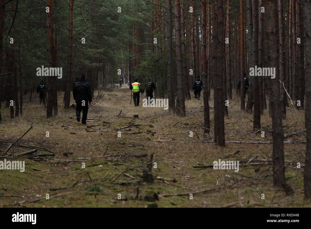 Kummersdorf, Germany. 09th Mar, 2019. Policemen in the forest in search for missing Rebecca from Berlin. Also on the third day in a row searches a hundred of police with helicopters and detection dogs in a large forest southeast of Berlin after the 15-year-old Rebecca R. Credit: SAO Struck/Alamy Live News Stock Photo