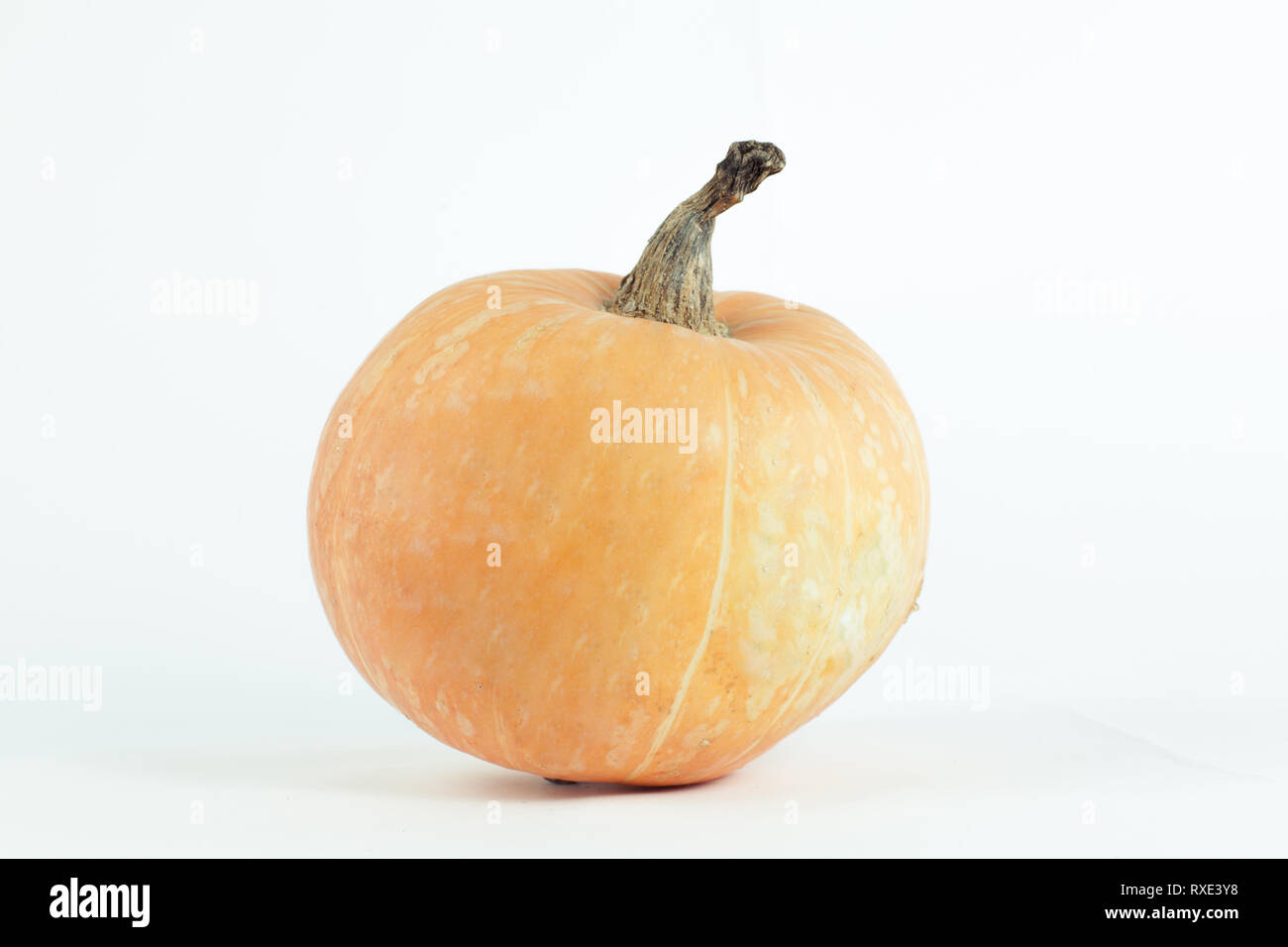 beautiful ripe pumpkin isolated on white background Stock Photo - Alamy