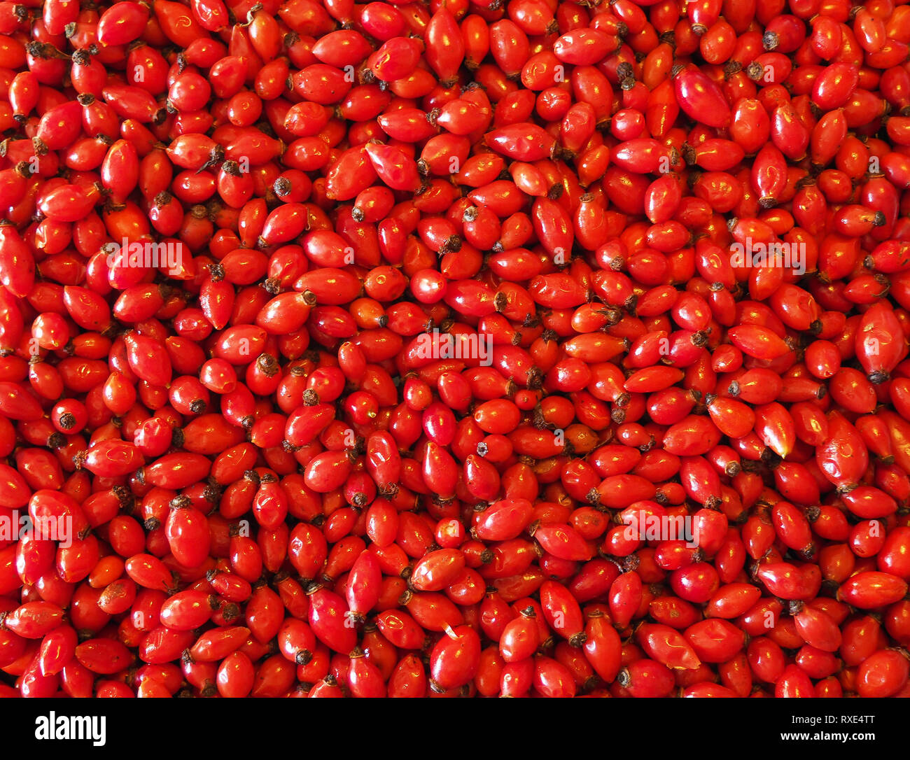 Rosehip Background - Healthy Nutrition Stock Photo