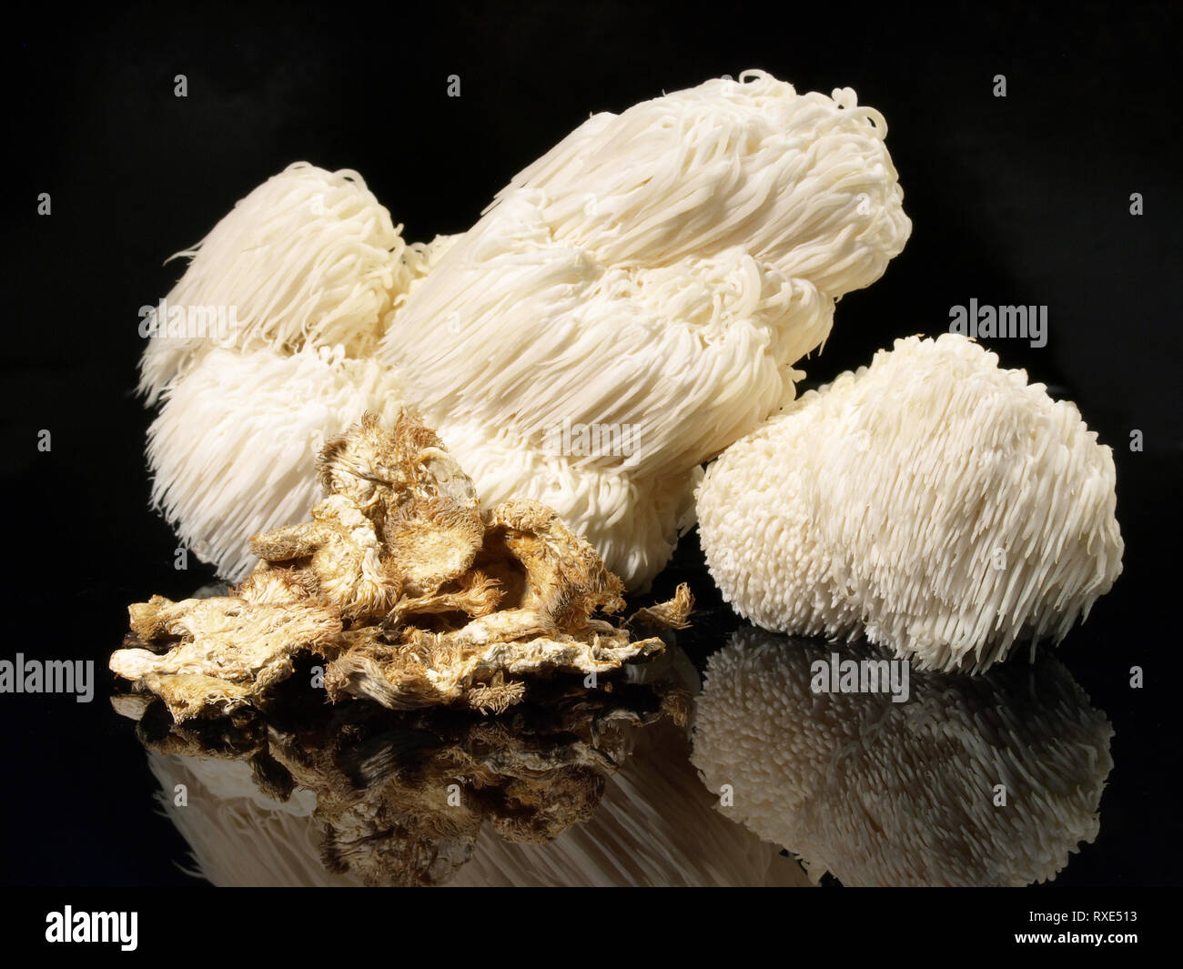 Fresh Hericium Mushroom on black Background Stock Photo Alamy