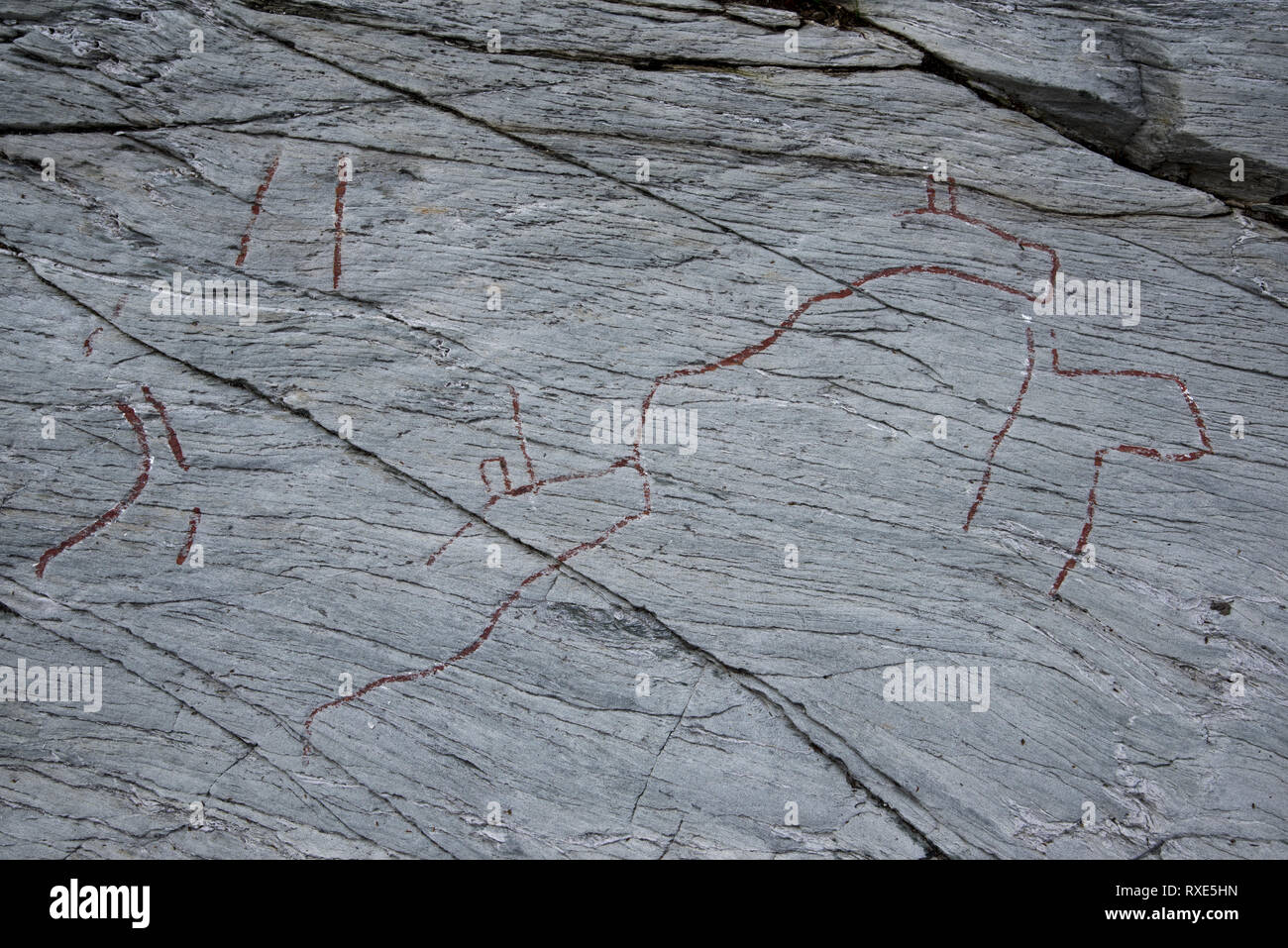 Almost 7000 years ago  stoneage fishermen and Reindeer herders made famous Kirkely rock carvings near Tennes in Balsfjord in Northern Norway. Stock Photo