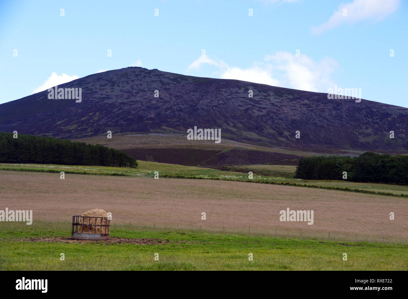 Ben rinnes mountains trees hi-res stock photography and images - Alamy