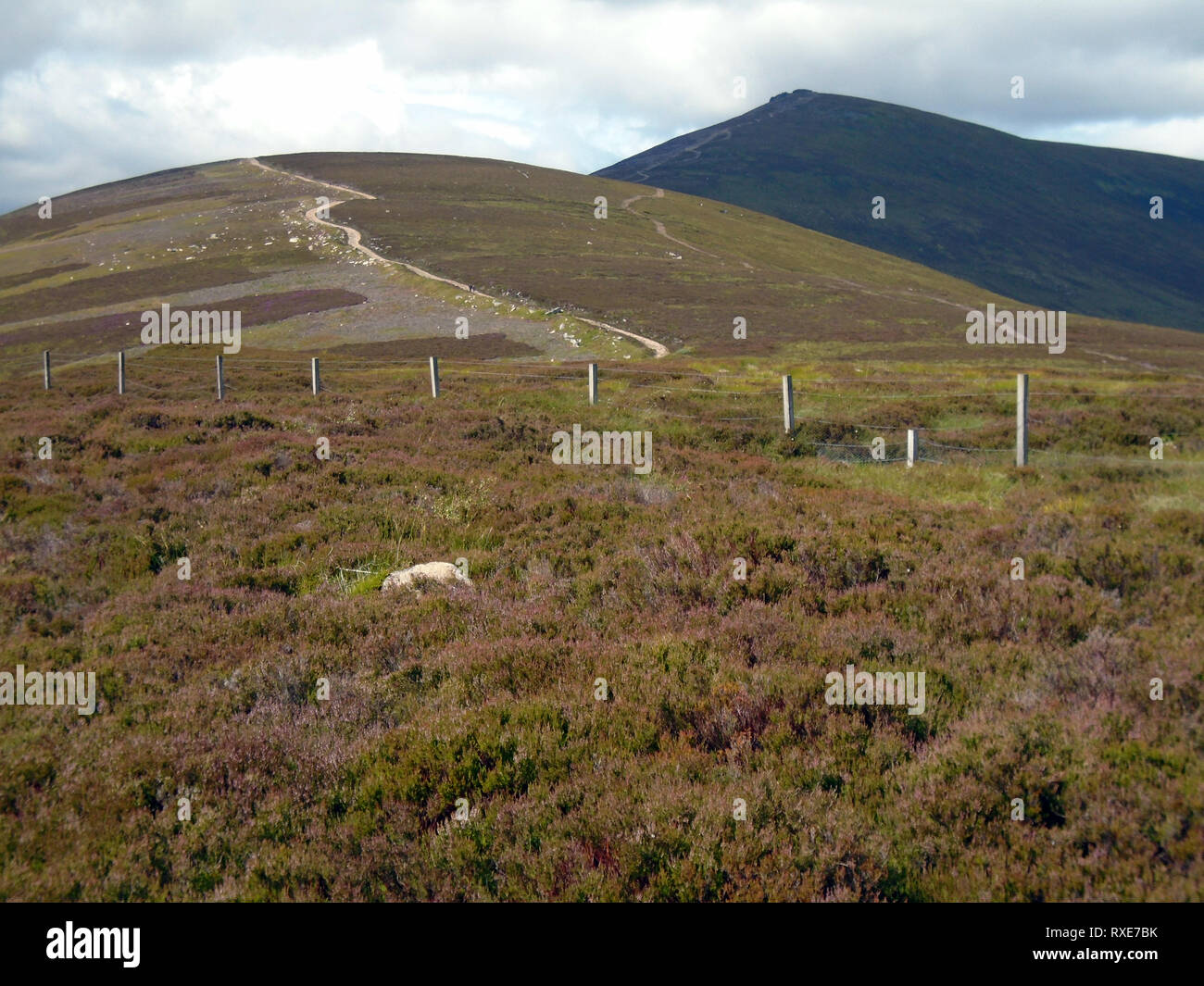 The Path Leading to Roy's Hill on Route to the Scottish Mountain Corbett Ben Rinnes, Cairngorm National Park, Scotland. Stock Photo