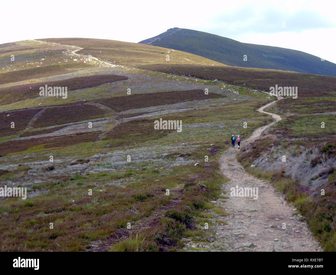 A Couple of Hikers Walking up the Path Leading to Roy's Hill on Route to the Scottish Mountain Corbett Ben Rinnes, Cairngorm National Park, Scotland. Stock Photo