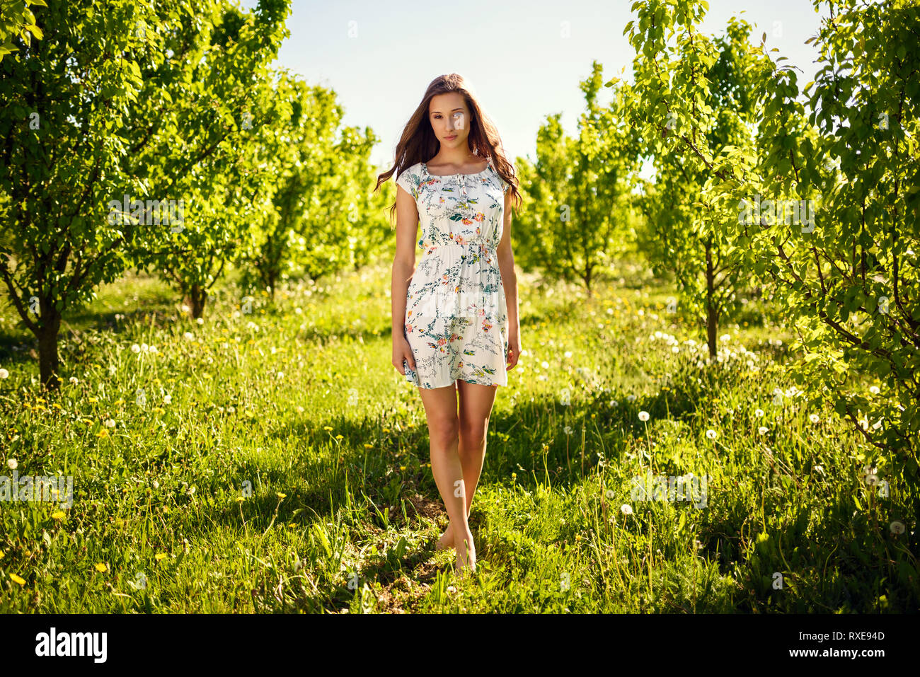 A beautiful girl in an airy dress taking a walk between fruit trees. Stock Photo