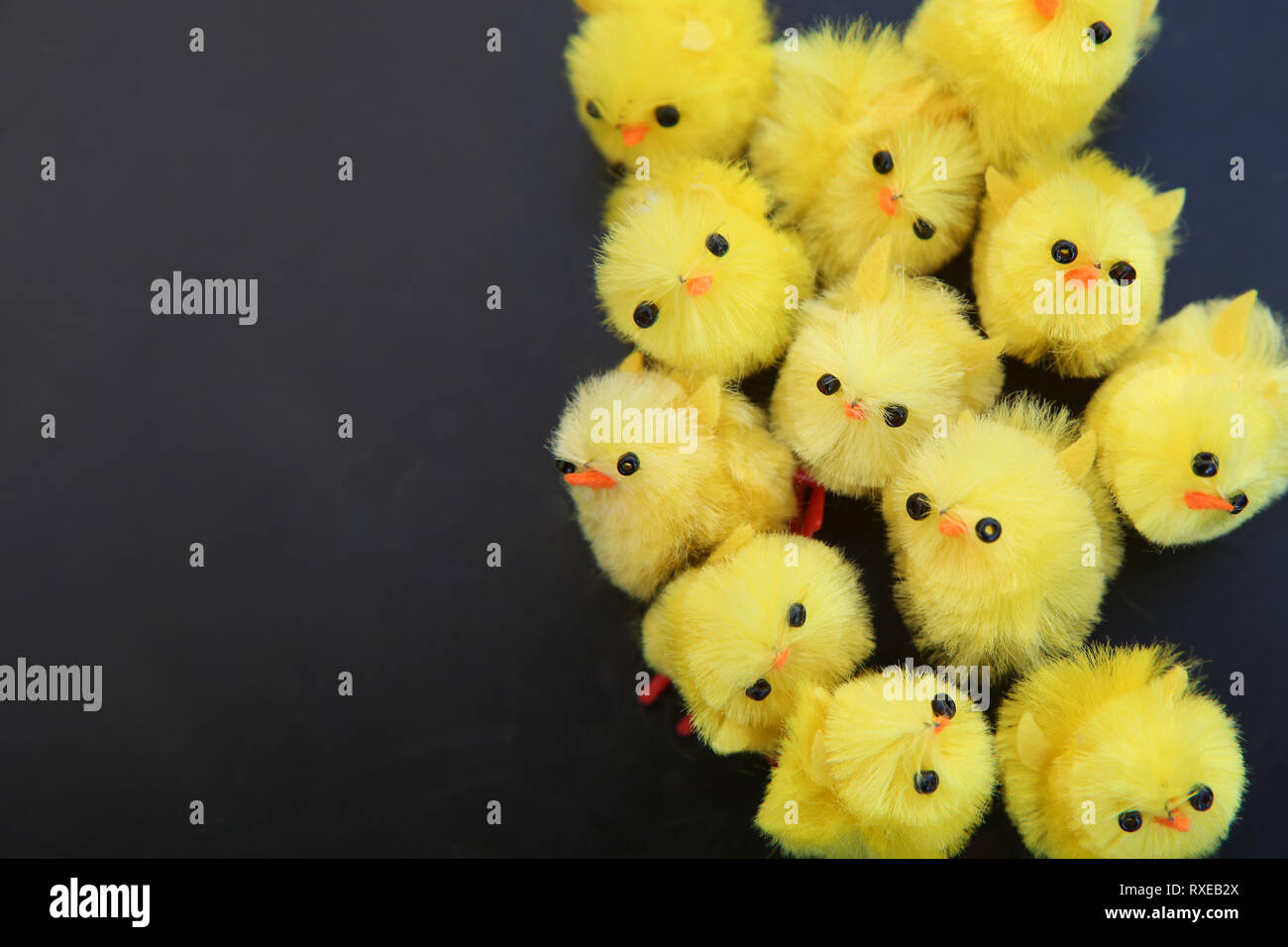 Easter cake decorations yellow fluffy baby chicks ready for easter against a dark background. Stock Photo