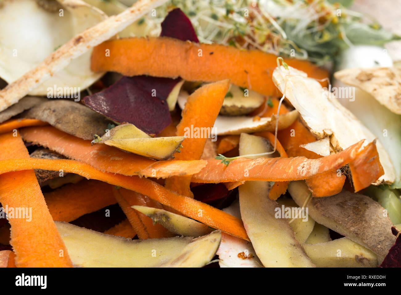 vegetable rotten peelings in composting pile Stock Photo