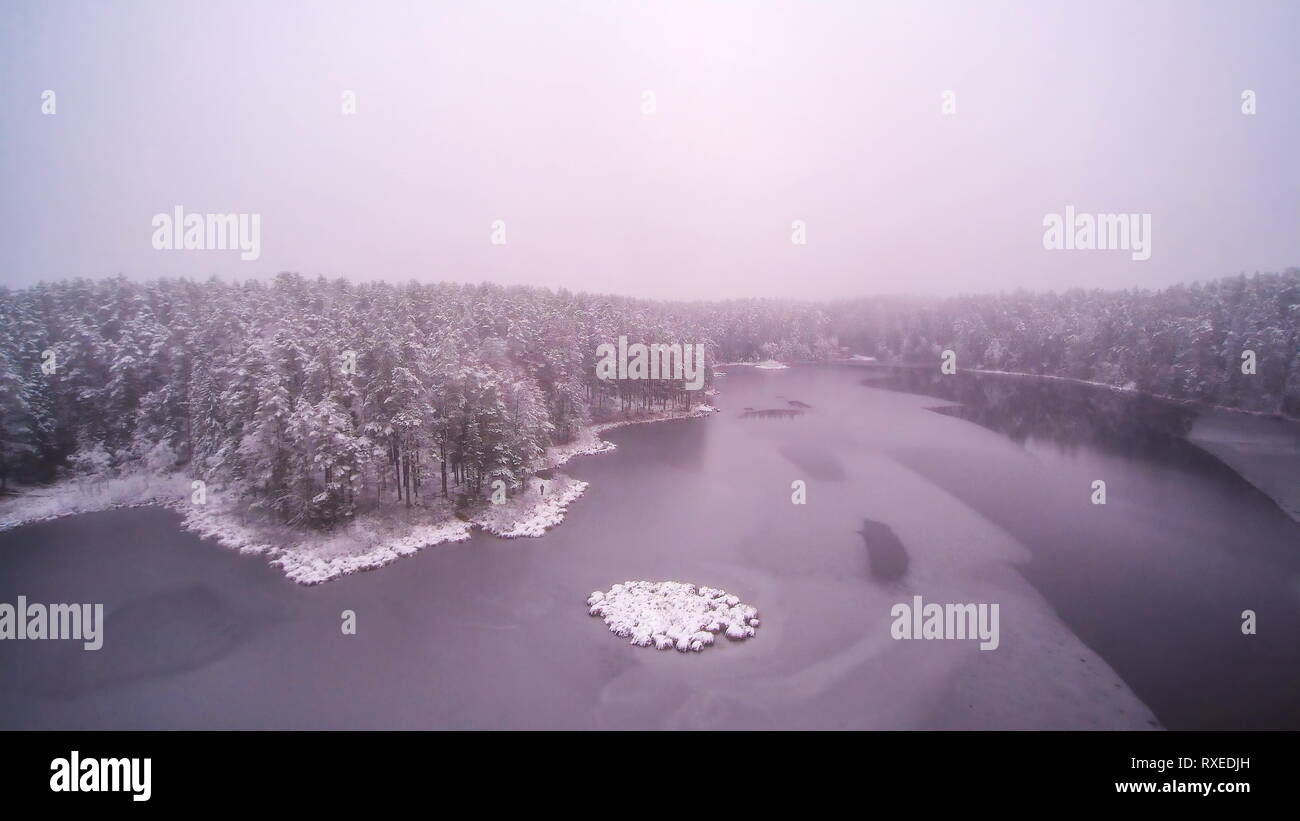 Fogs in forest hi-res stock photography and images - Alamy