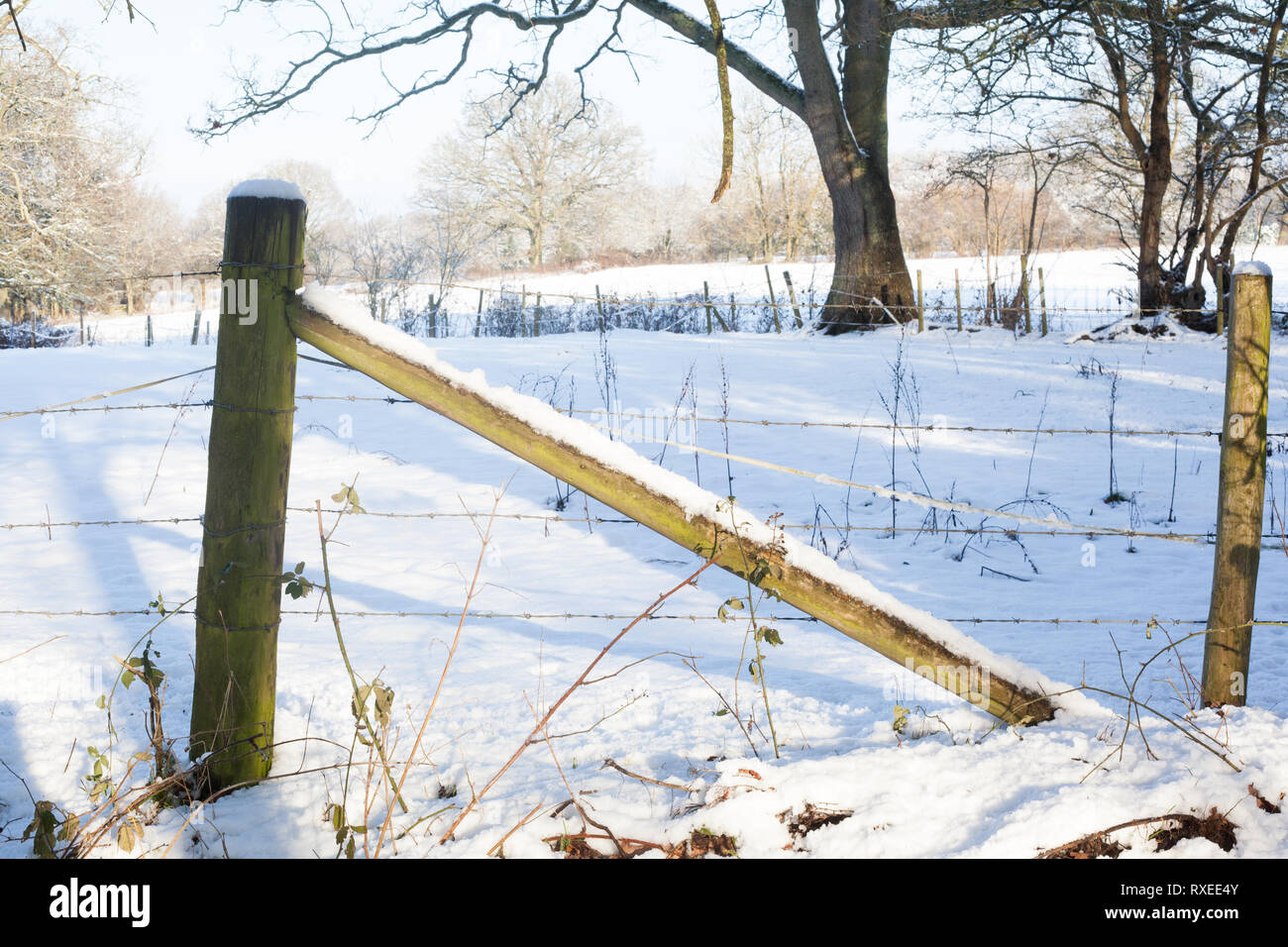 Snowy wooden fencing covered in snow in sunshine Stock Photo - Alamy