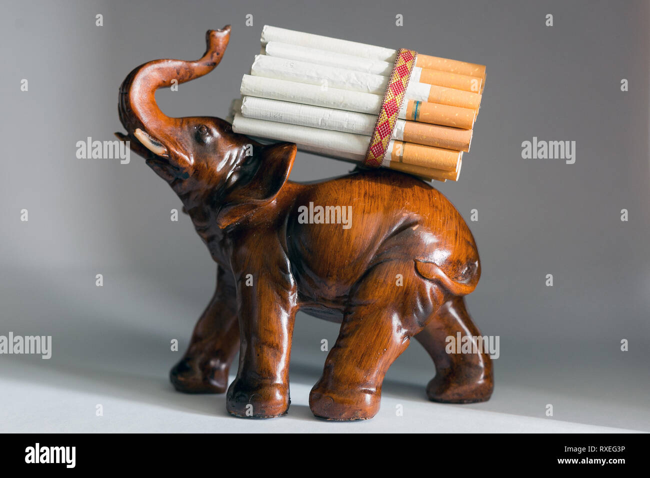 The tied up cigarettes pile on the back of an Indian elephant Stock Photo