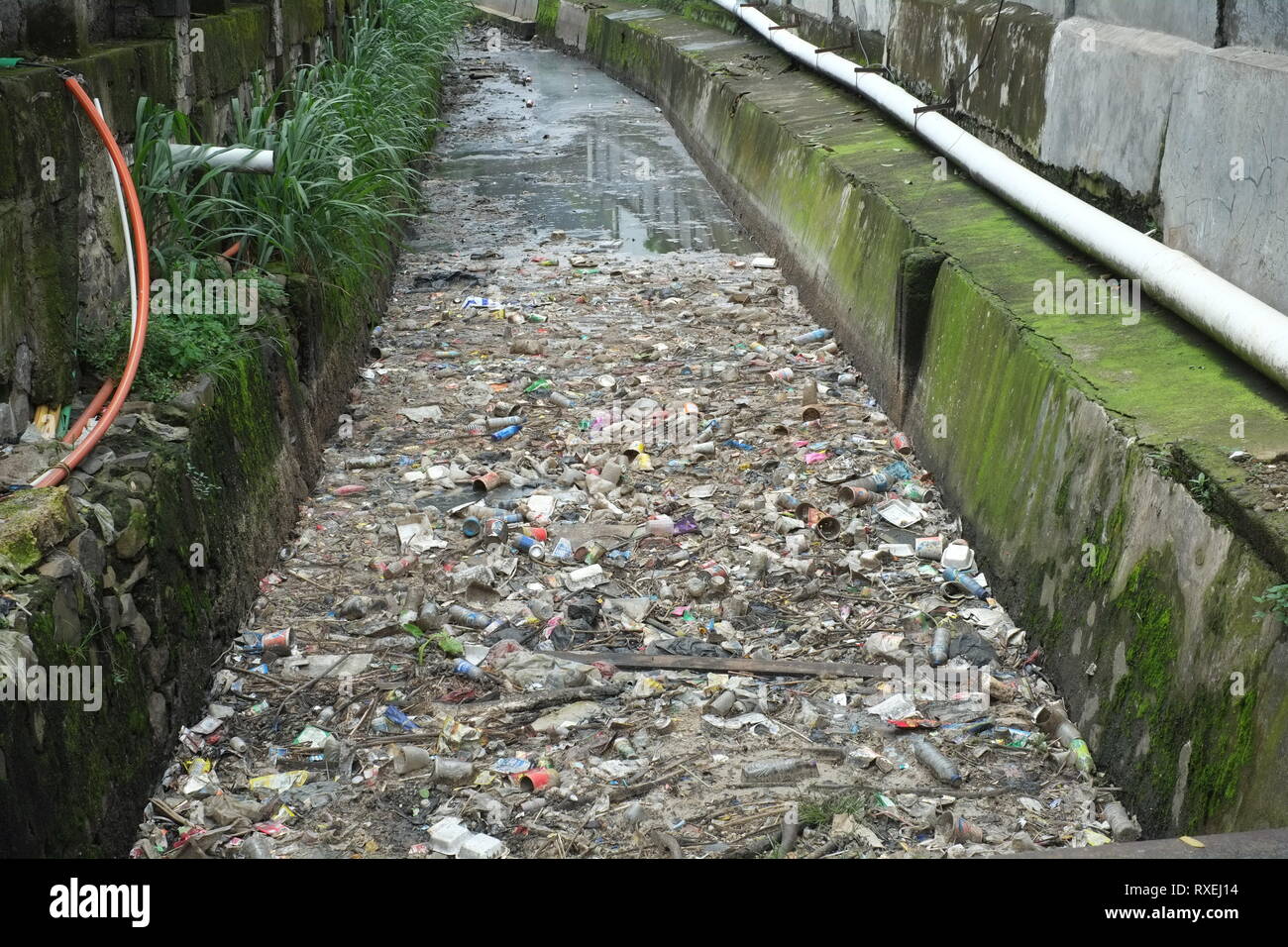 Plastics pollution in a city water trench. Stock Photo