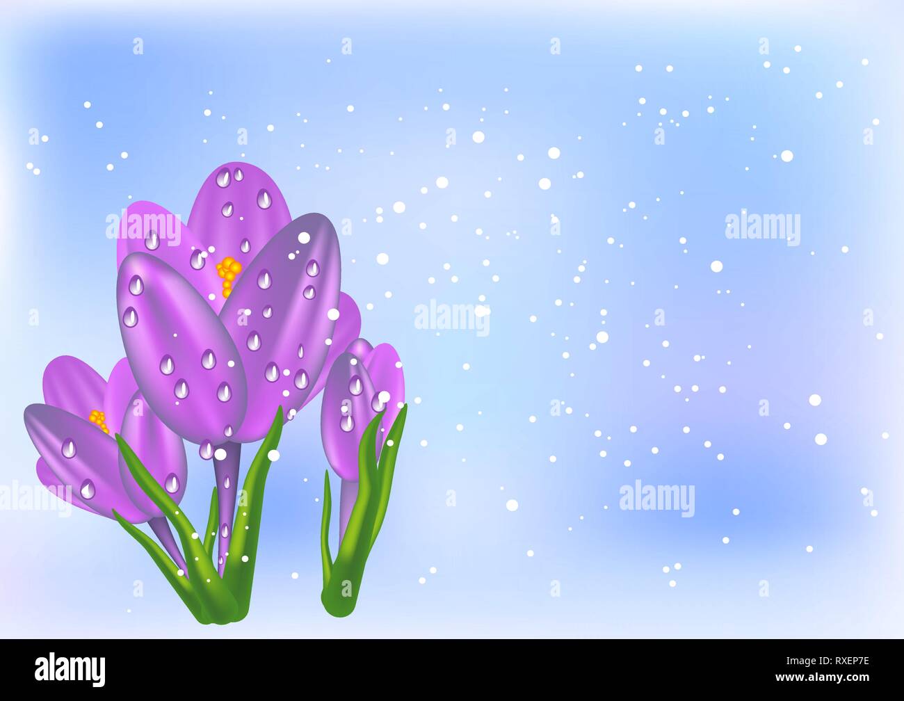 thee crocus and snow on abstract background Stock Vector