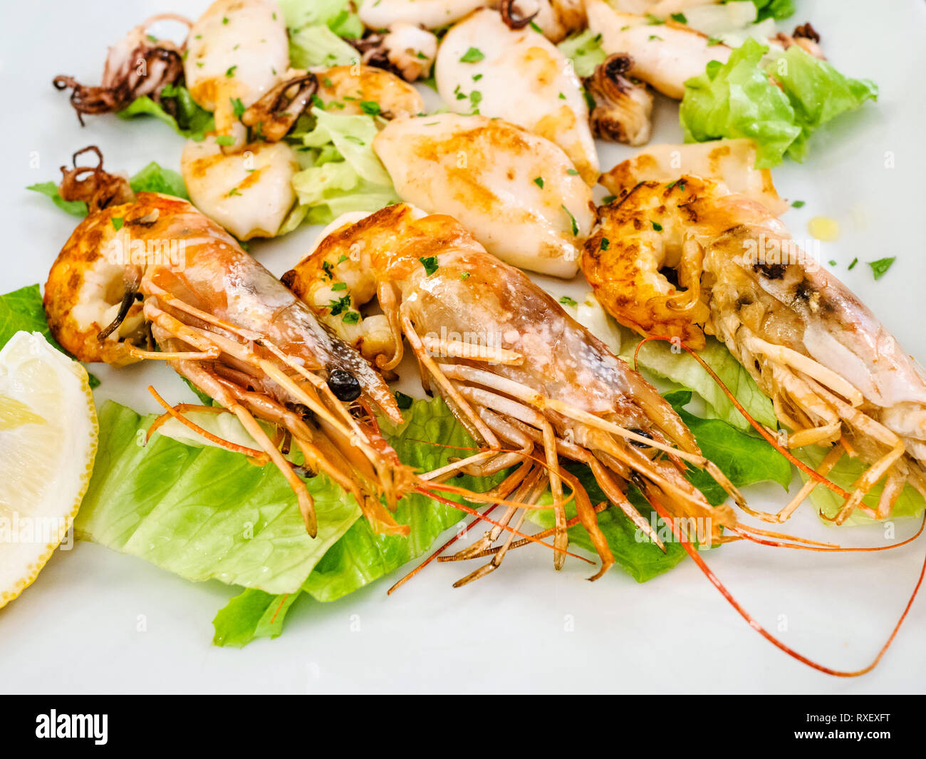 Italian cuisine - fried prawns and squids close up on white plate in local restaurant in Lombardy Stock Photo