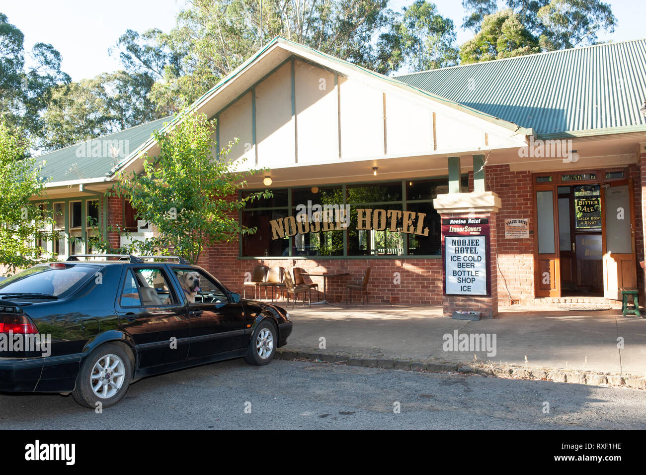 Dog friendly car hires stock photography and images Alamy