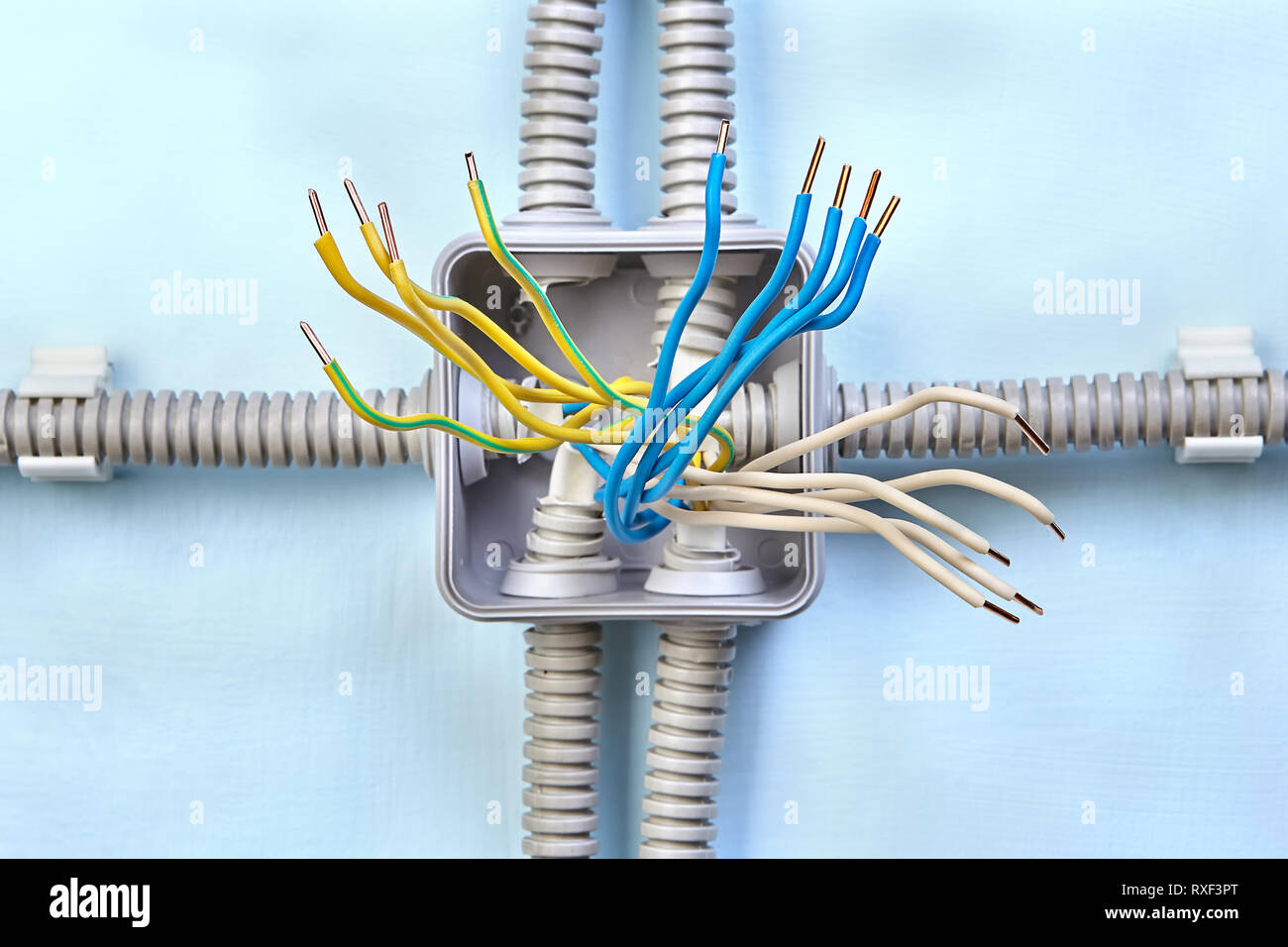 Copper wiring of new electrical junction box, process of installing surface mounted wiring, close up. Stock Photo