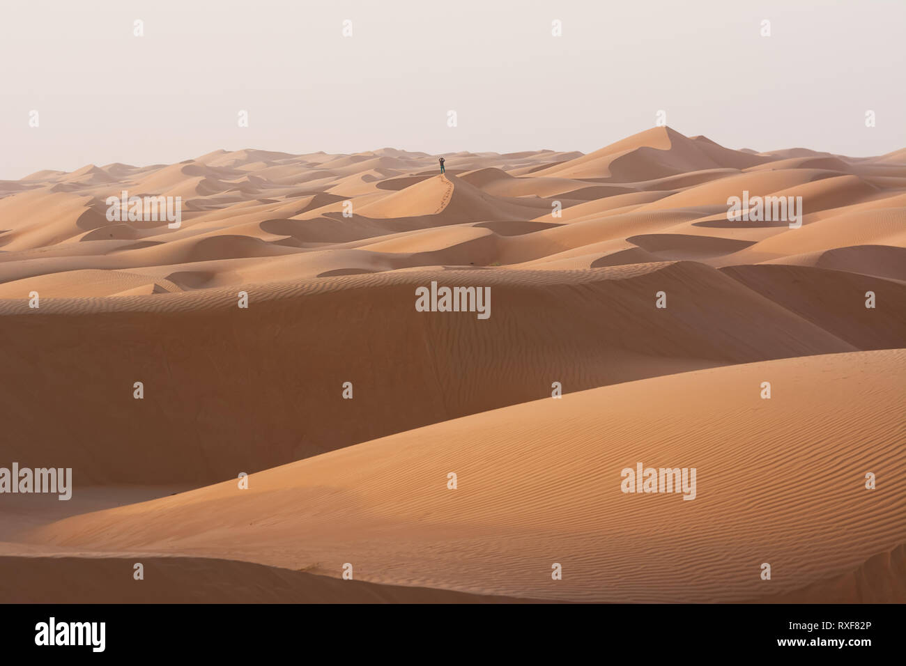 Alone man in the desert dunes of the Wahiba Sand Desert (Oman) Stock Photo