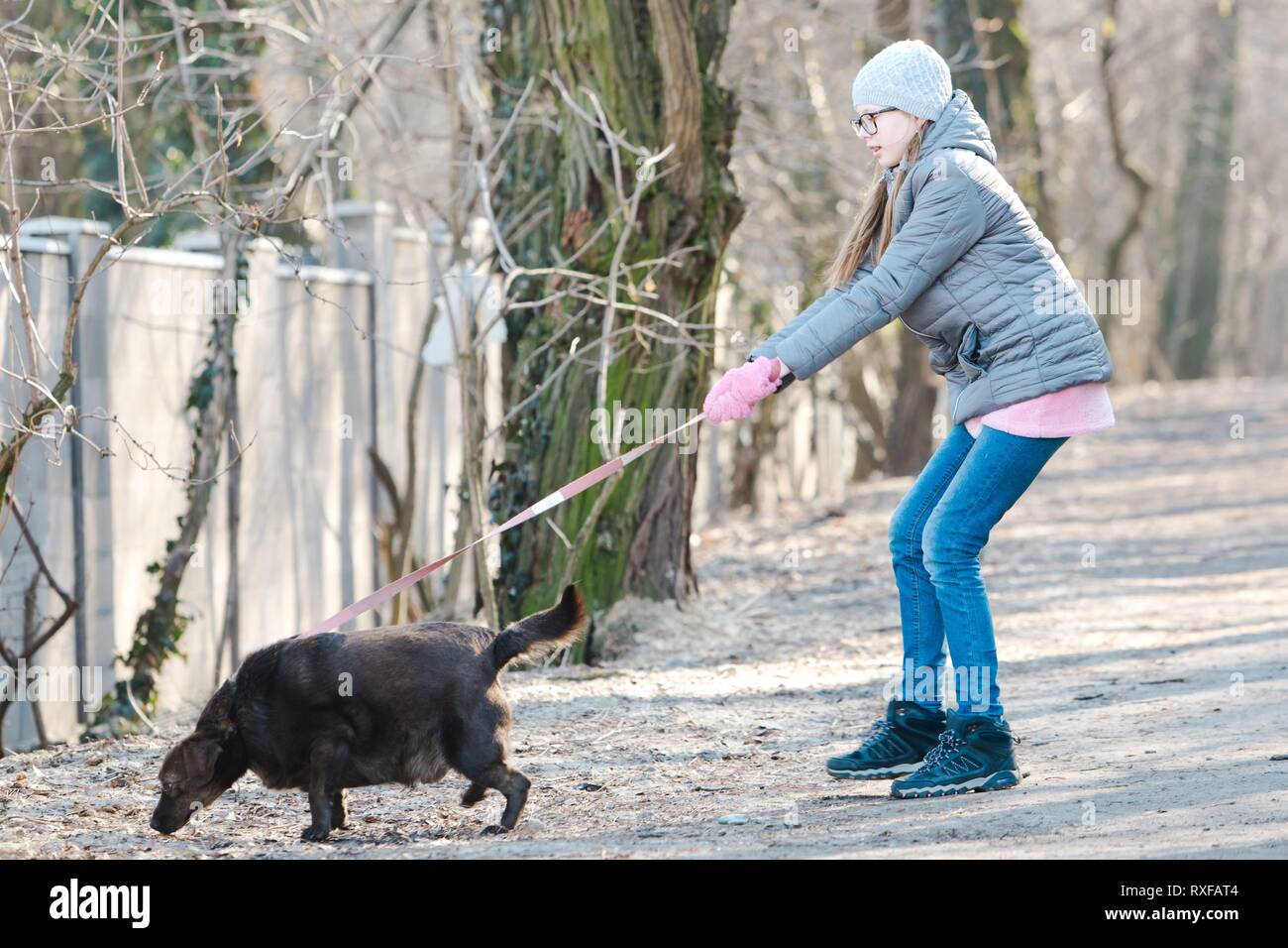 Teen girl walking dog hi-res stock photography and images - Alamy