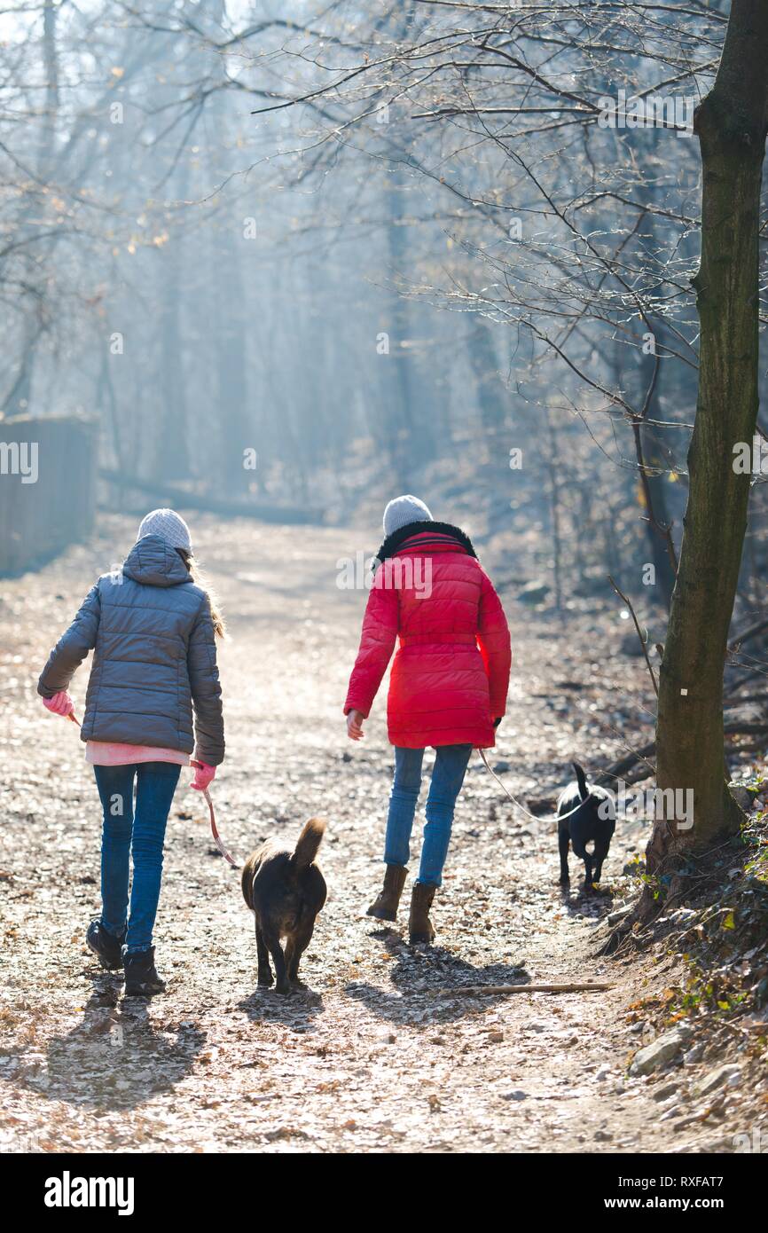 Girl Walking Dogs High Resolution Stock Photography and Images - Alamy