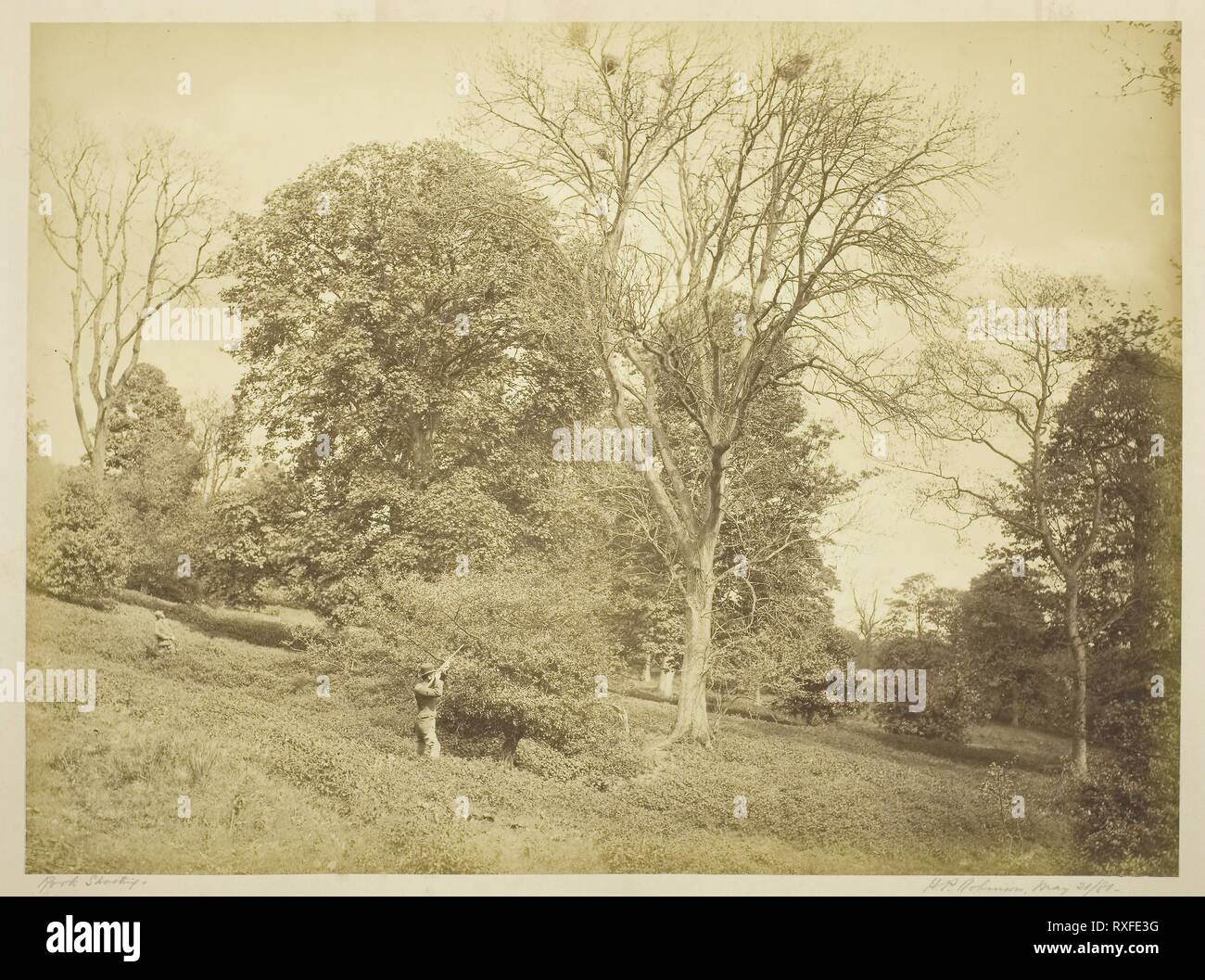 Rook Shooting. Henry Peach Robinson; English, 1830-1901. Date: 1881. Dimensions: 27.6 × 37.2 cm (image/paper); 36.4 × 51.8 cm (mount). Albumen print. Origin: England. Museum: The Chicago Art Institute. Stock Photo