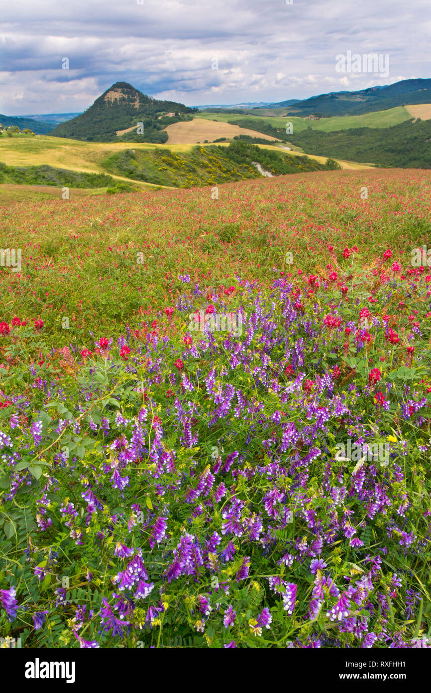 Tuscany,  rural landscape neat Volterra, Italy Stock Photo