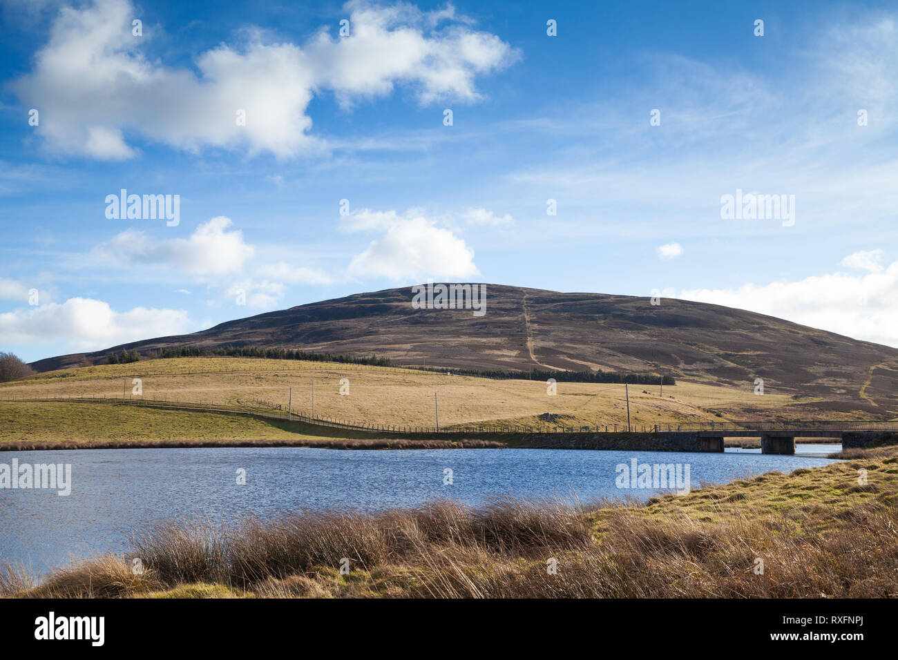 Looking across Whiteadder Reservoir to Priestlaw Hill in the Lammermuirs, East Lothian Scotland. Stock Photo