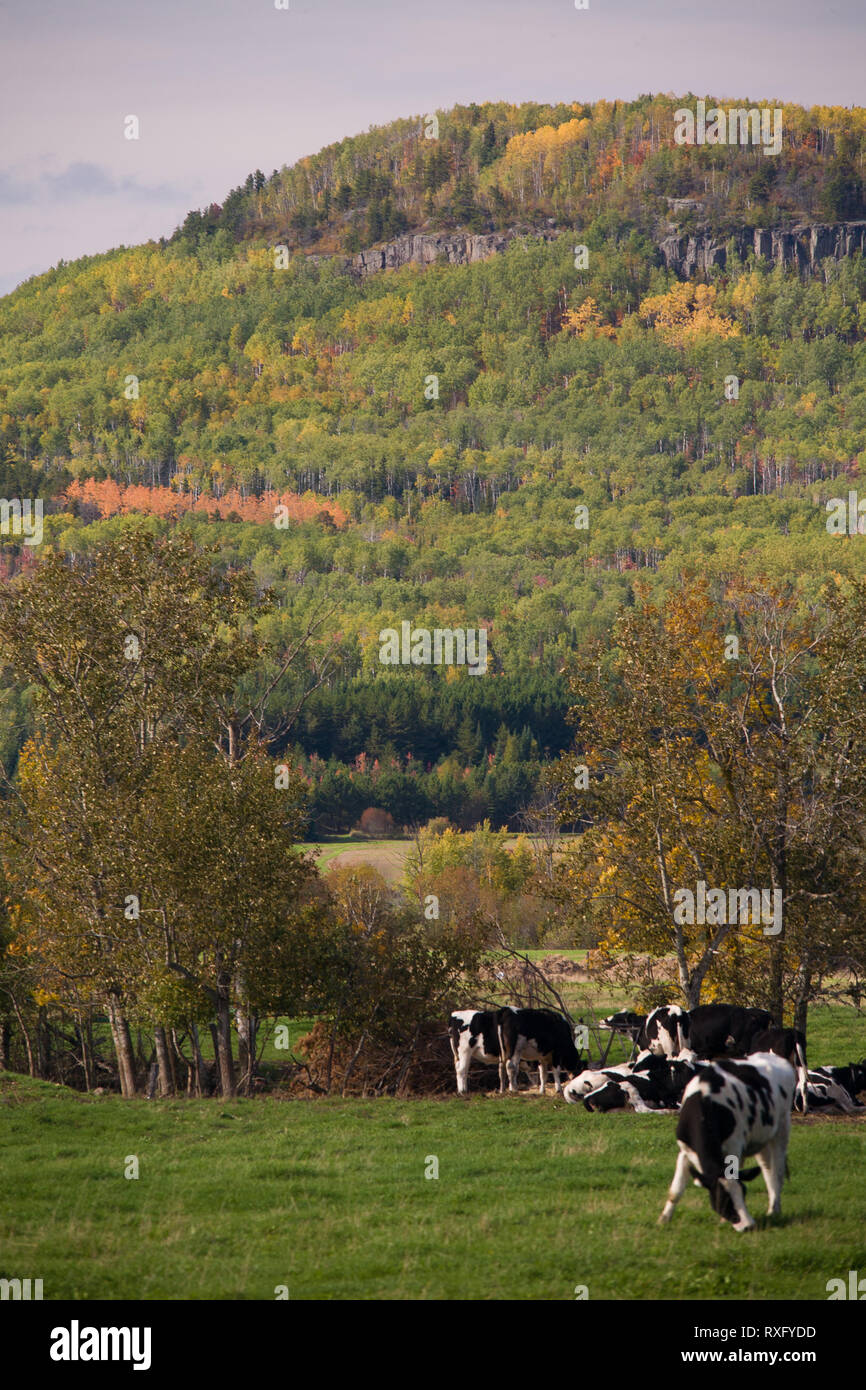 Thunder Bay, Thunder Bay District, Ontario, Canada Stock Photo Alamy