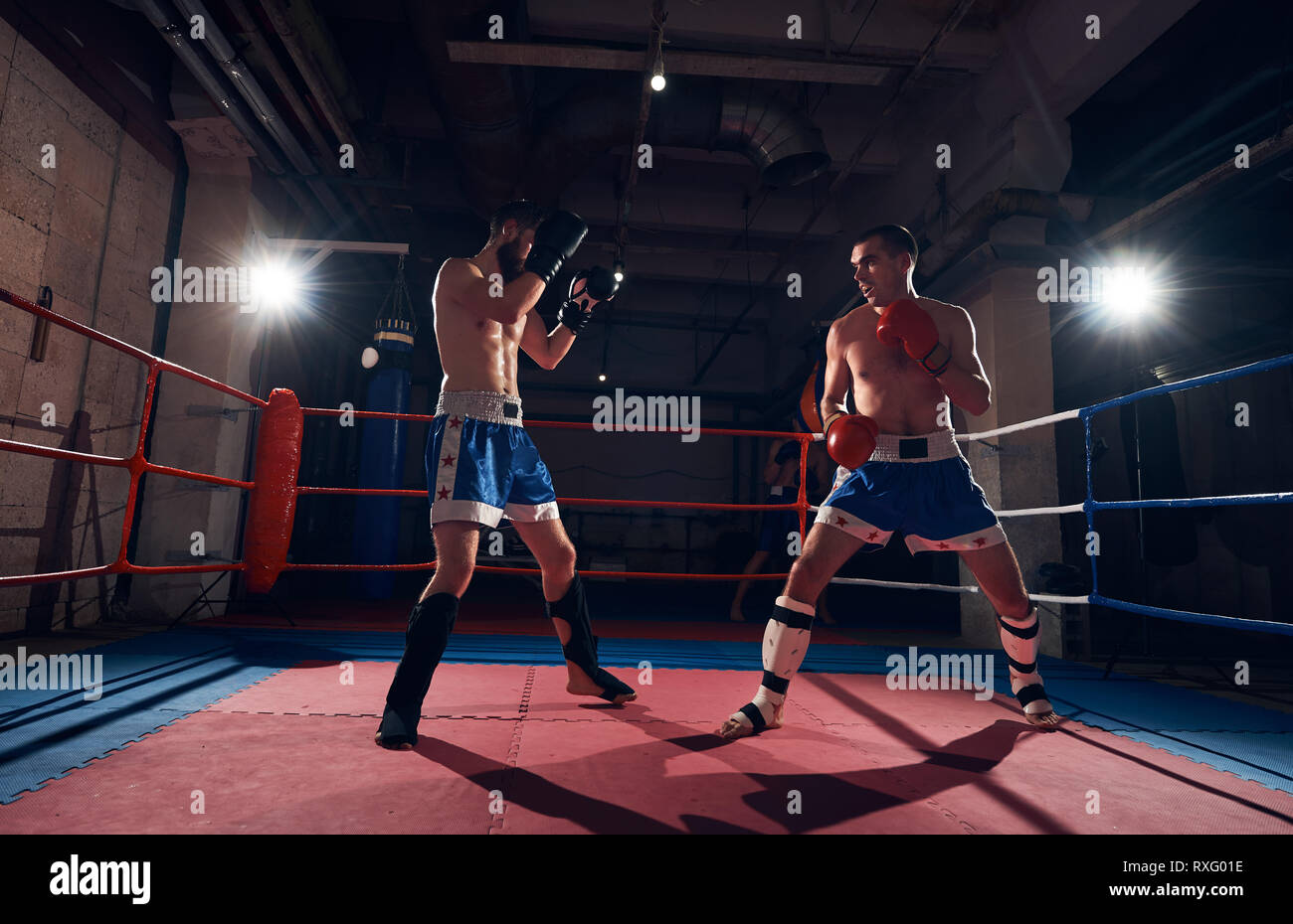 Sparring partner hires stock photography and images Alamy