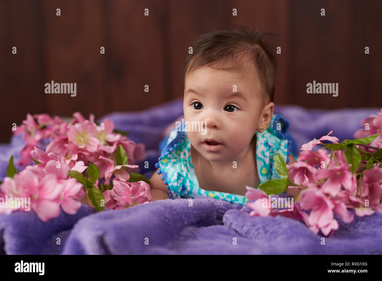 Portrait of cute little girl lying in flowers background Stock Photo ...