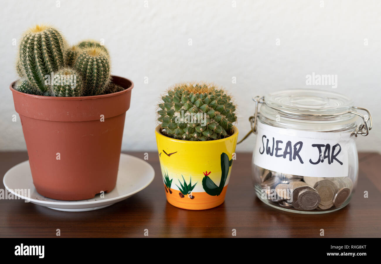 Swear jar on a shelf with potted plants Stock Photo