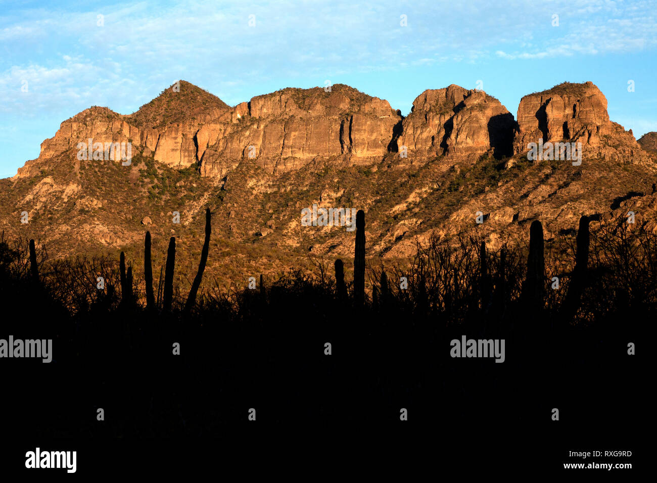 El vizcaino baja california sur hi-res stock photography and images - Alamy
