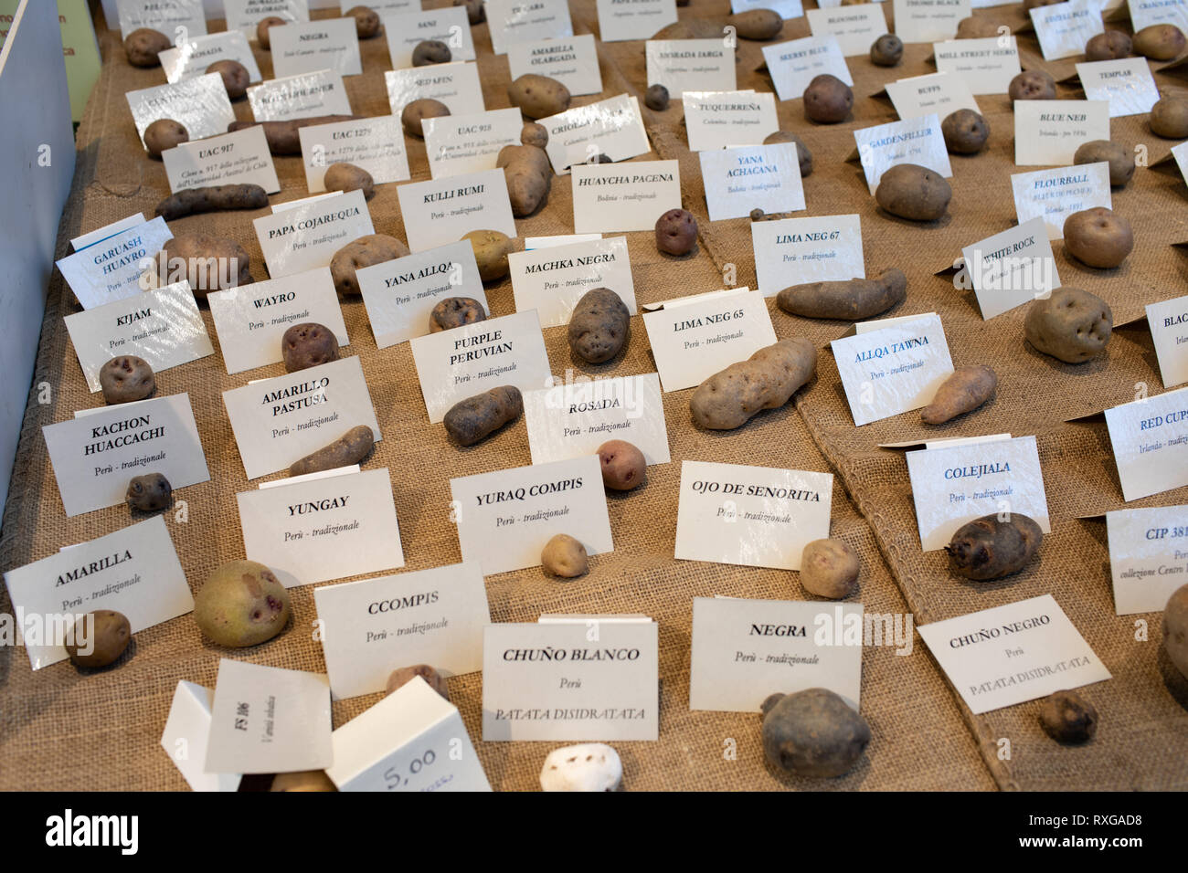 ROME, ITALY - FEBRUARY 17, 2019: Potato varieties from different countries of the world in an exhibition at Eataly in Rome for the Potato Feast. Stock Photo
