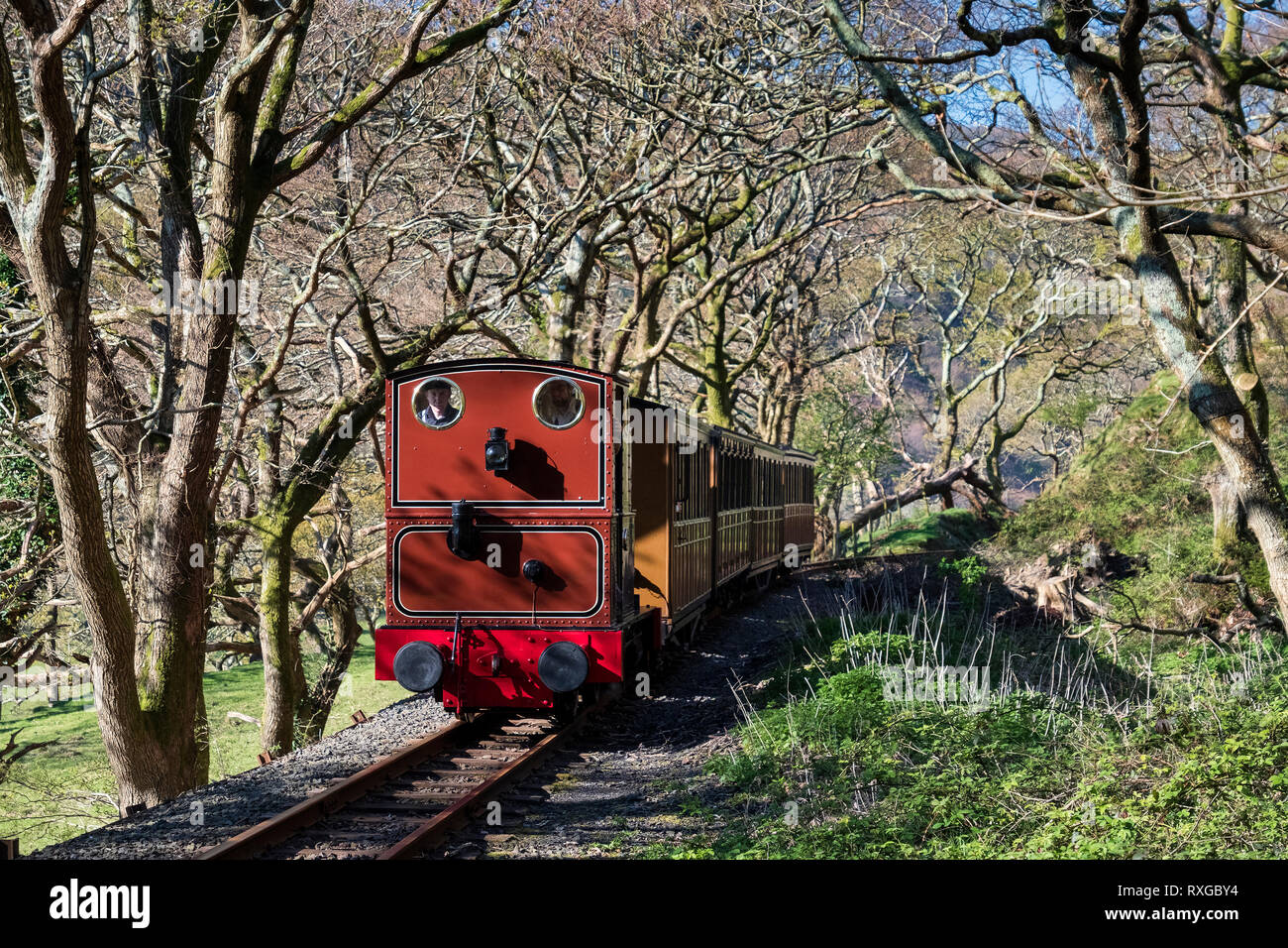 Talyllyn Railway near Dolgoch, Snowdonia National Park, North Wales, UK Stock Photo