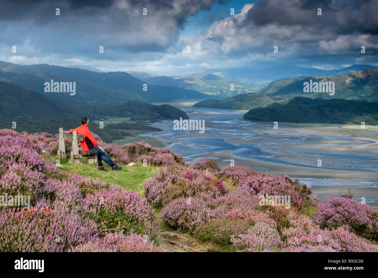 The Mawddach Estuary viewed from Panorama Walk in summer, Snowdonia National Park, Gwynedd, North Wales, UK MODEL RELEASED Stock Photo
