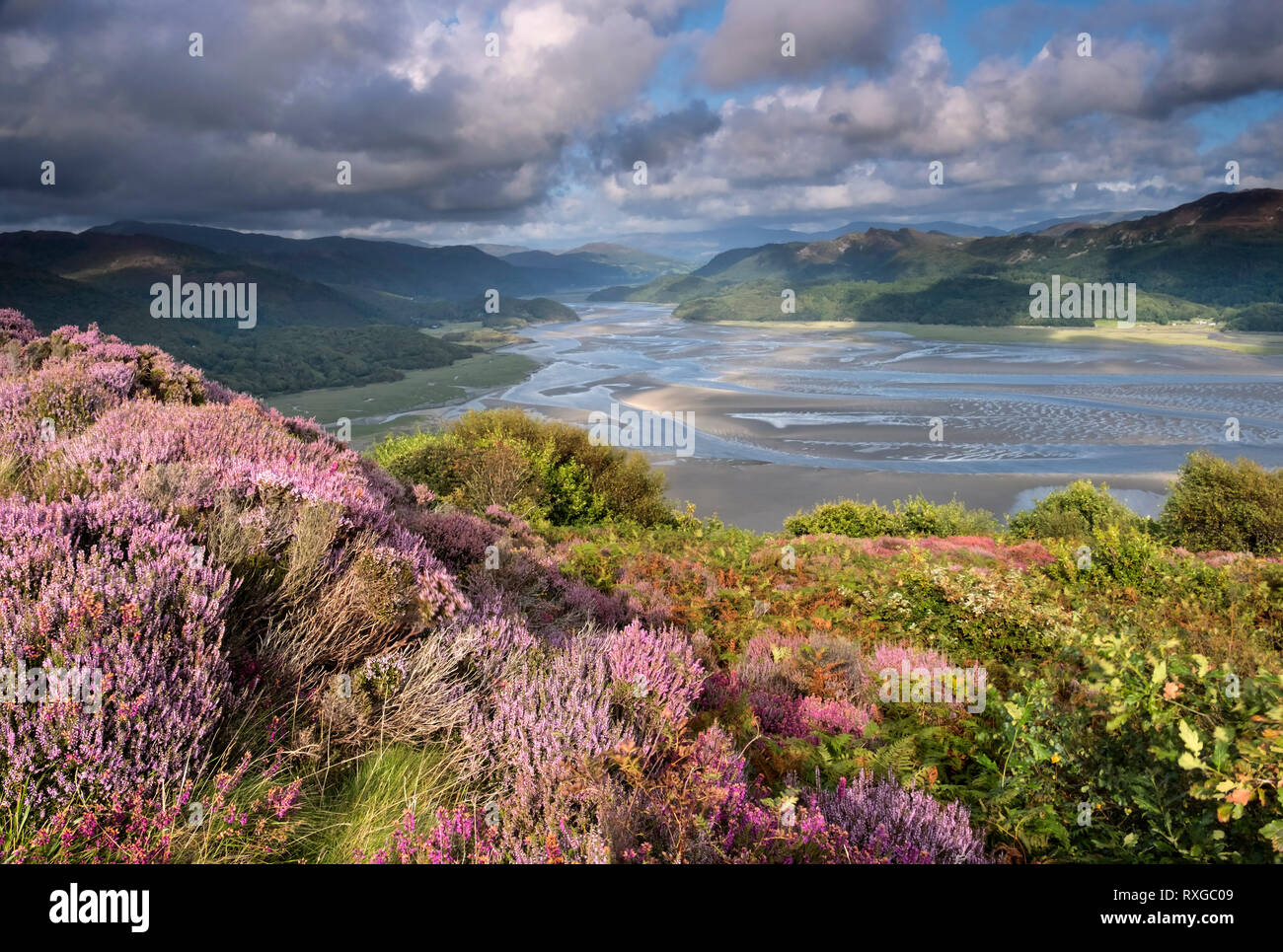 The Mawddach Estuary in summer, Snowdonia National Park, Gwynedd, North Wales, UK Stock Photo