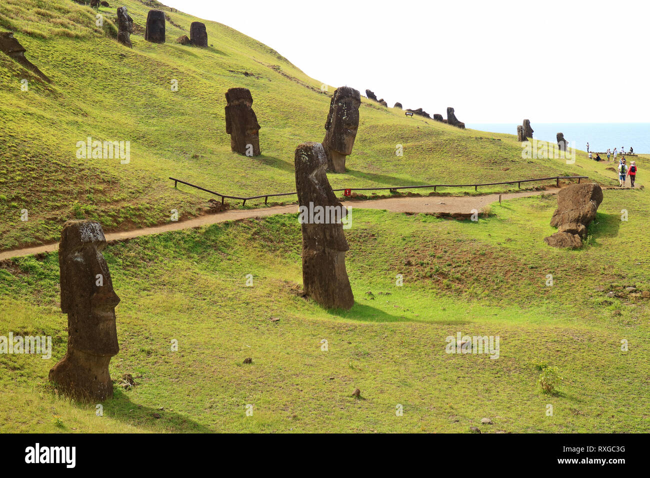 The slope full of abandoned giant Moai statues of Rano Raraku volcano with Pacific ocean in