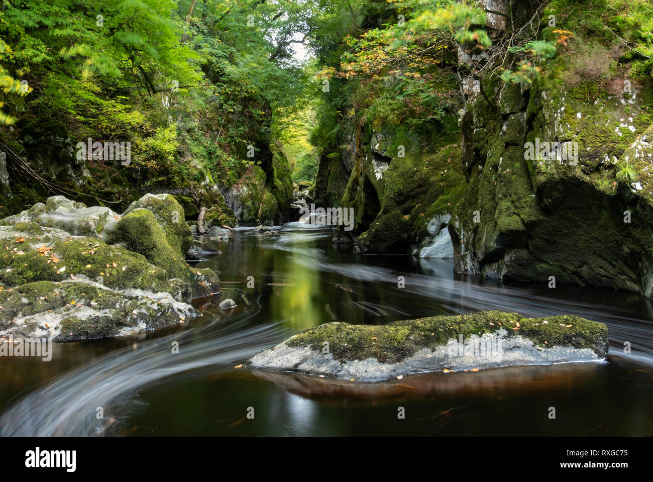 The Fairy Glen and River Conwy, near Betws y coed, Snowdonia National Park, North Wales, UK Stock Photo