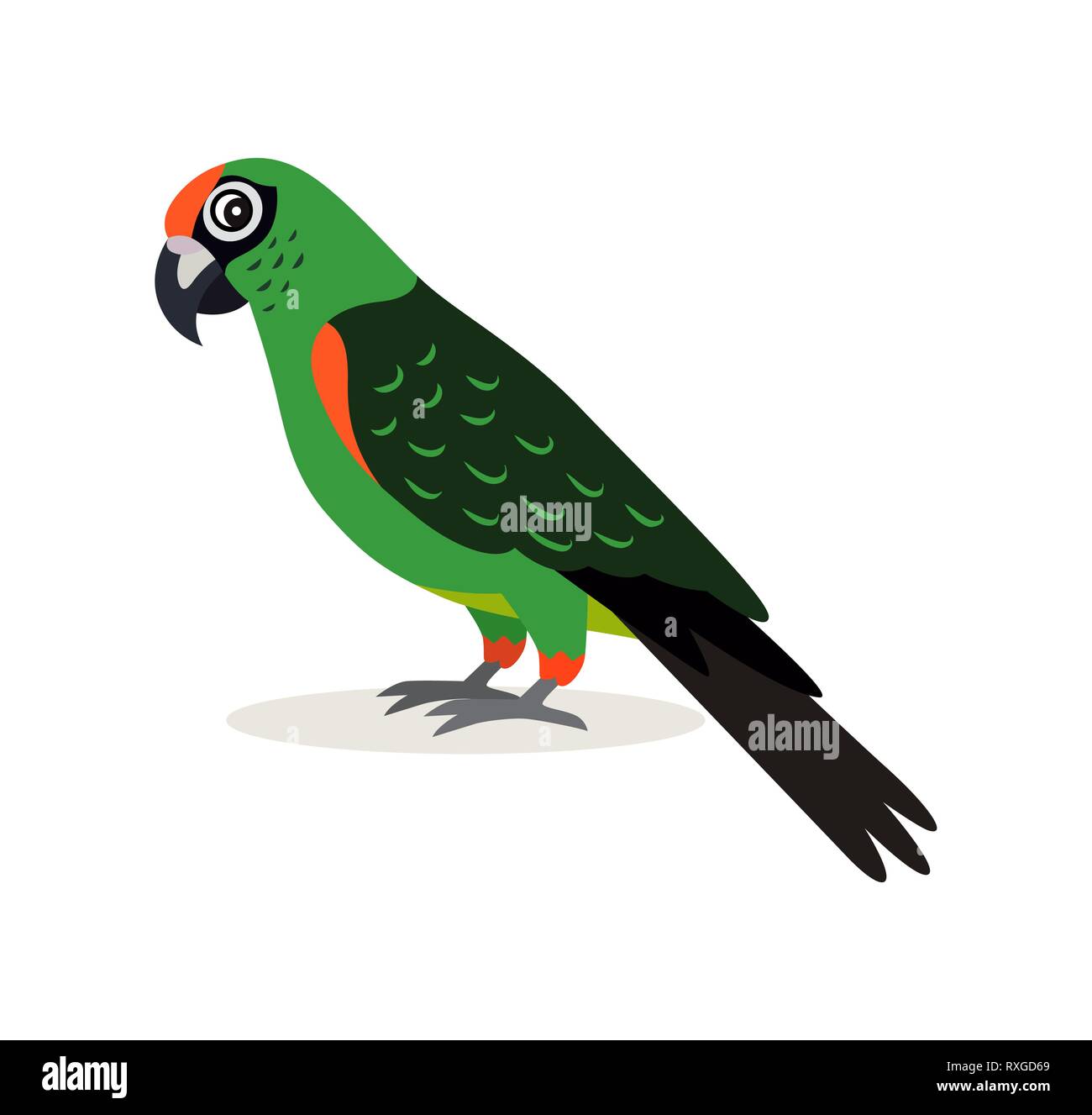 African animal, colorful green parrot lovebird icon isolated on white background, vector illustration in flat style. Stock Vector