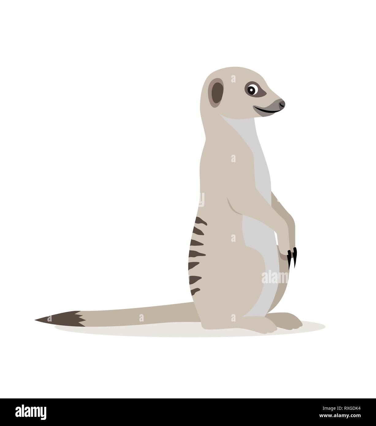 African wild animal, cute suricate, meerkat icon isolated on white background, vector Stock Vector