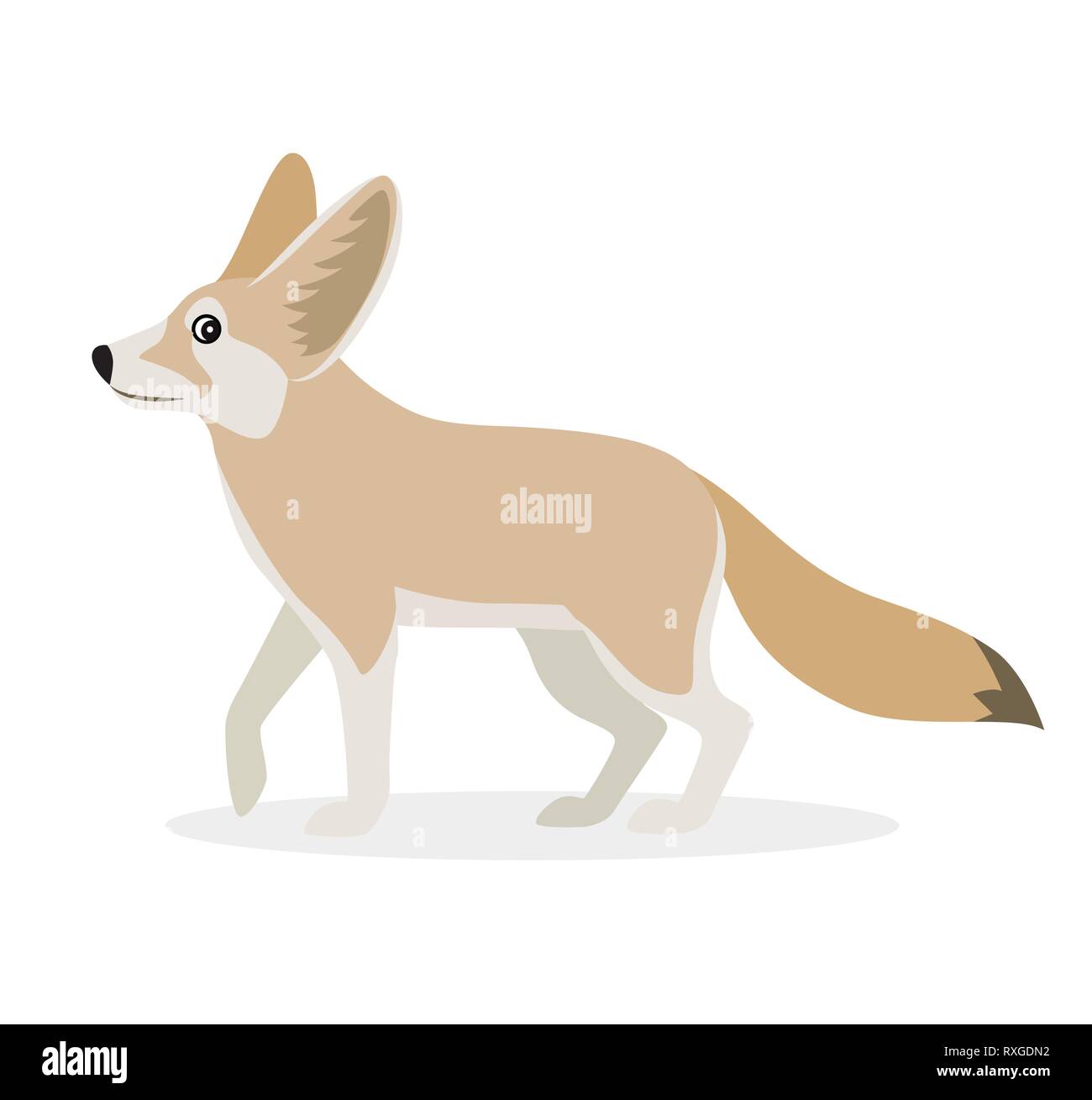 African animal, cute fennec icon isolated on white background, small funny fox, vector Stock Vector