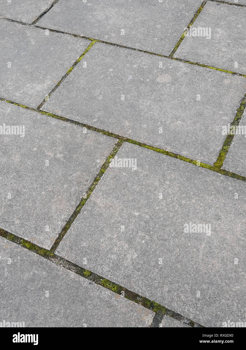 Moss growing in the cracks between concrete paving slabs. Metaphor fall