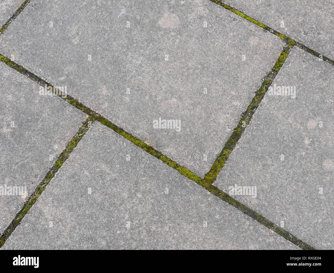 Weeds in between paving slabs hi-res stock photography and images - Alamy