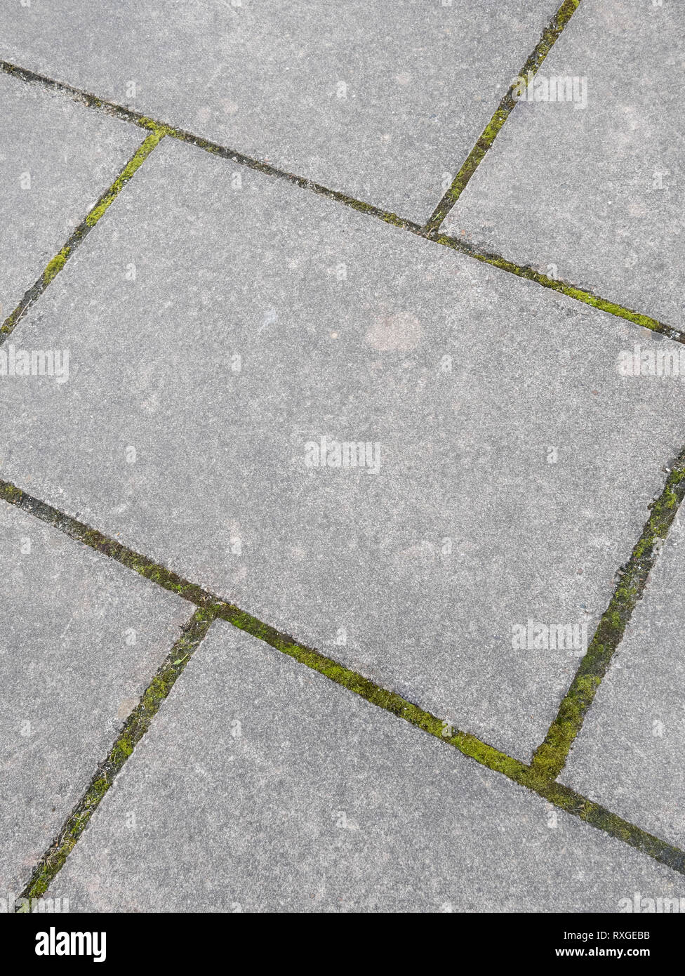 Moss growing in the cracks between concrete paving slabs. Metaphor